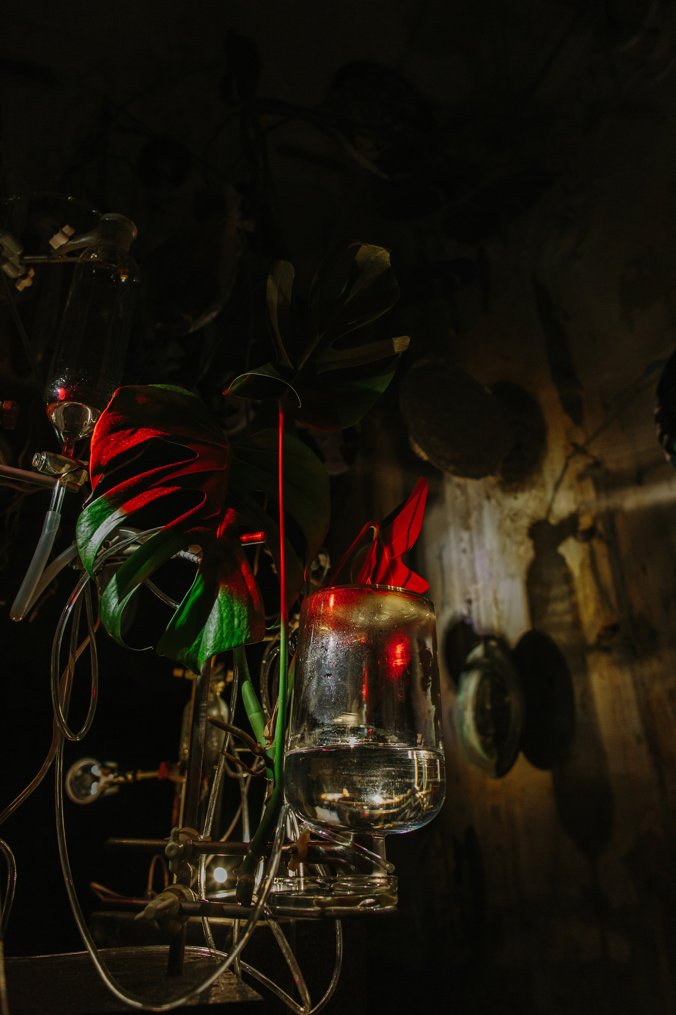 Asya Feoktistova. SHOOTS. Asya Feoktistova