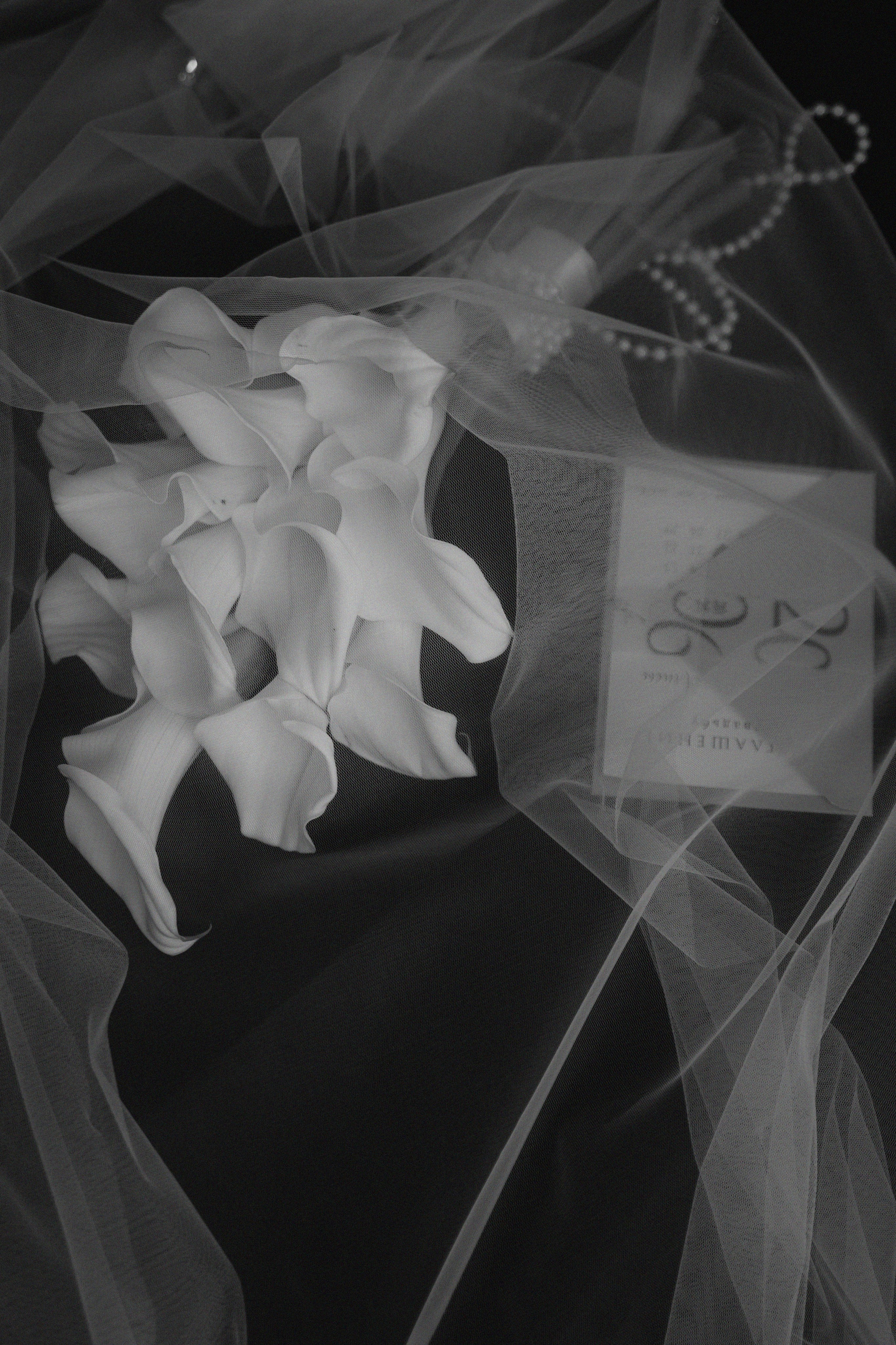 Влад|Алиса. Свадебный и портретный фотограф Анастасия Тетёркина, Брянск и Санкт-Петербург