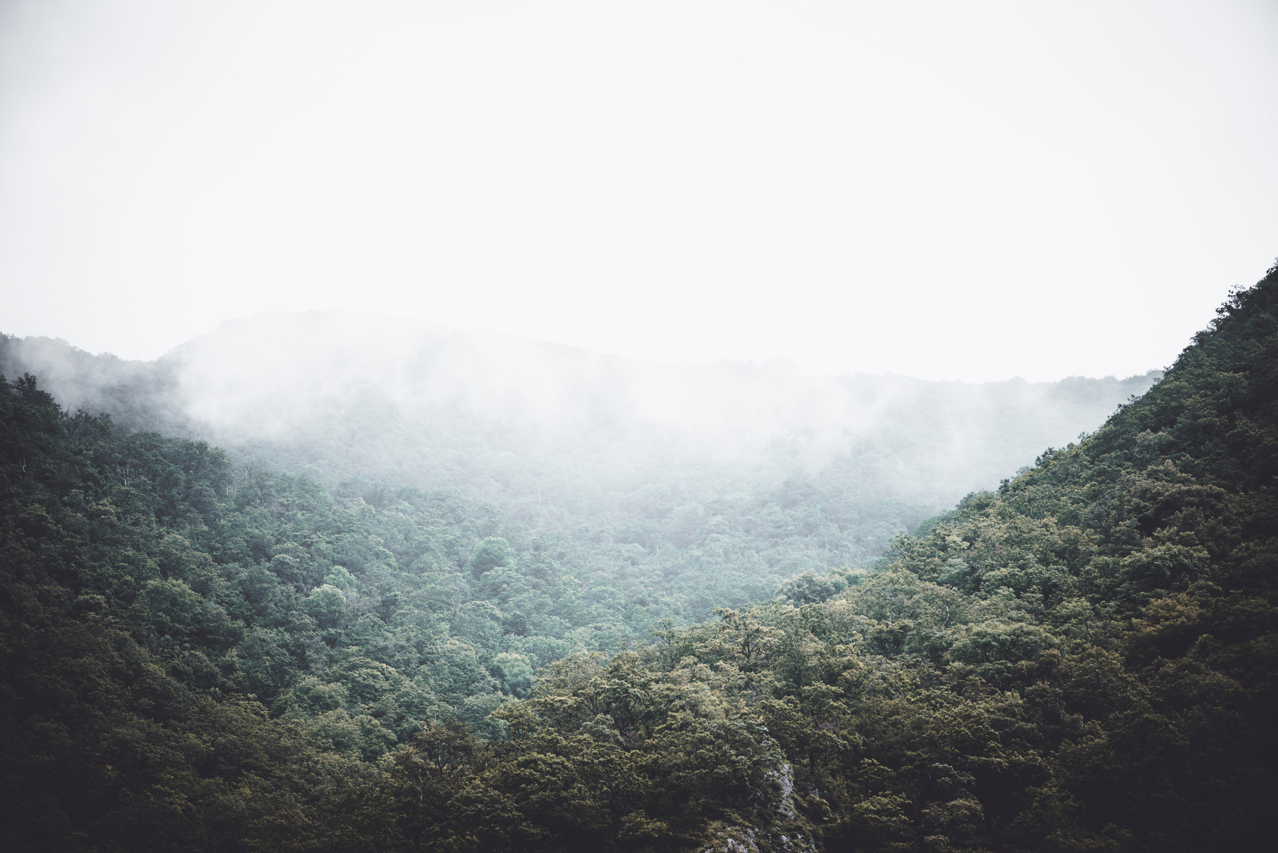 Стрит фото. Беличкин Михаил. Портретный и предметный фотограф в городе Тольятти