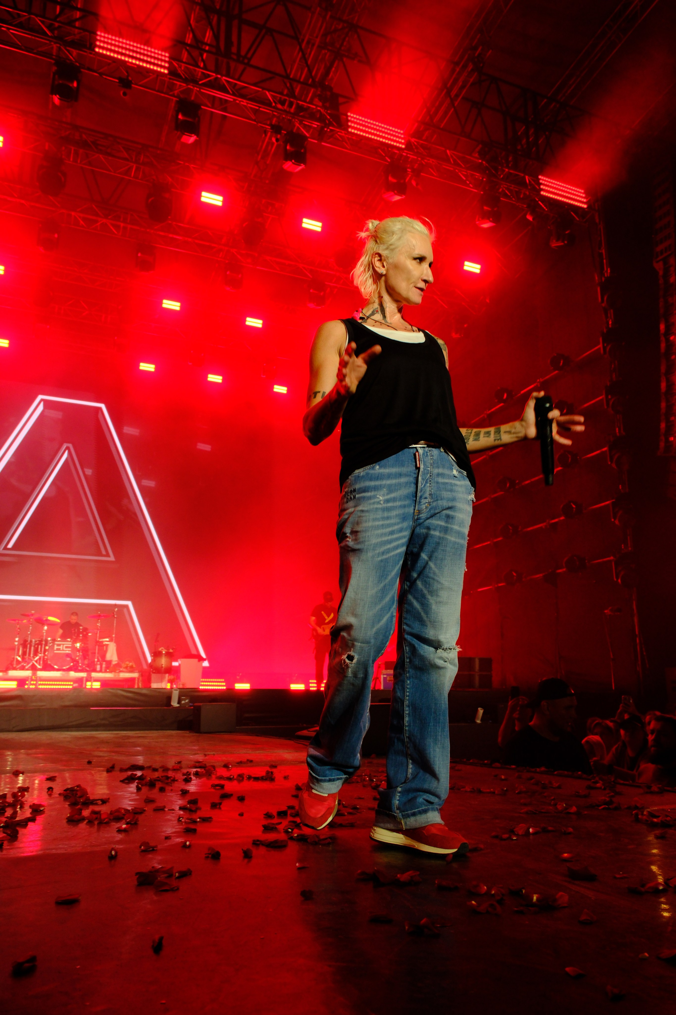 Диана Арбенина (группа «Ночные снайперы») — Москва, МТС Live Лето 2024. RedGeek - блогер и стручњак за образовање и ИТ Кирил Ситнов