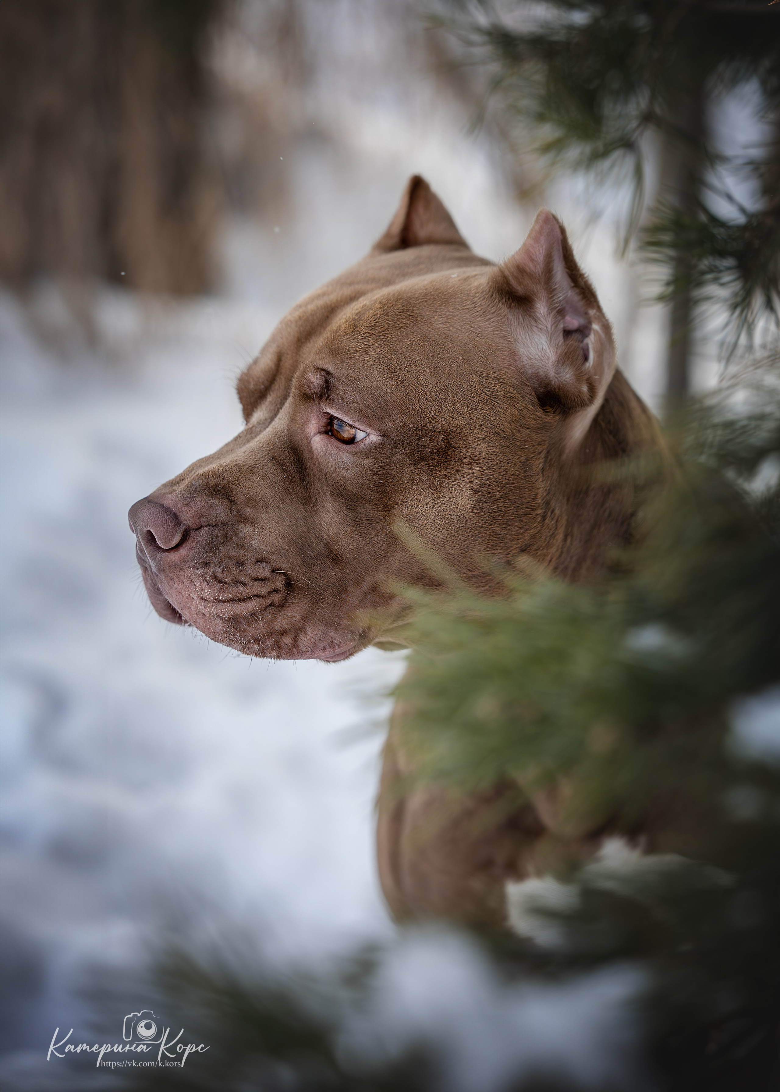 Прогулки. Главная