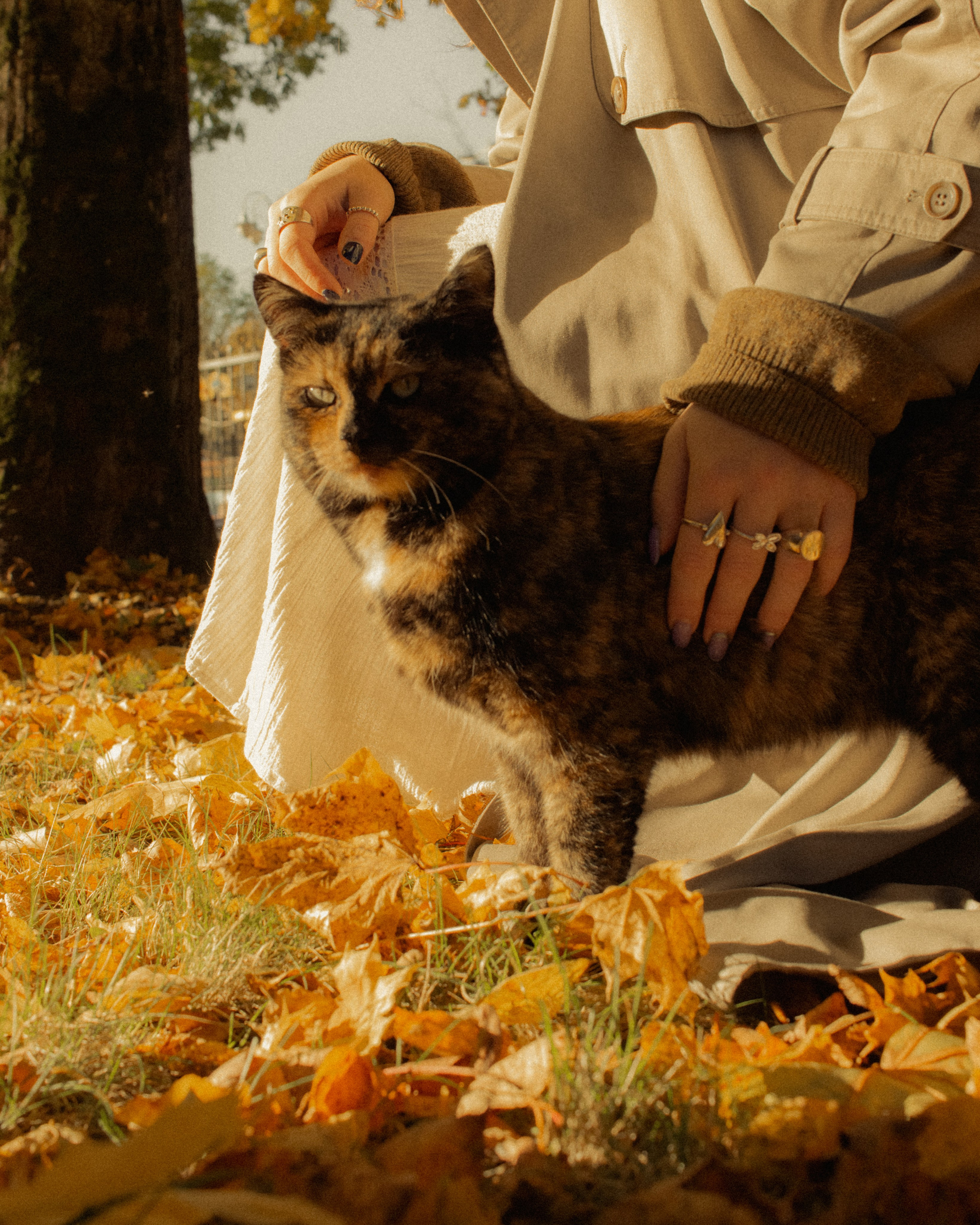 Фотопрогулка в парке Калининград. Портретный фотограф в Калининграде Рита Холодова
