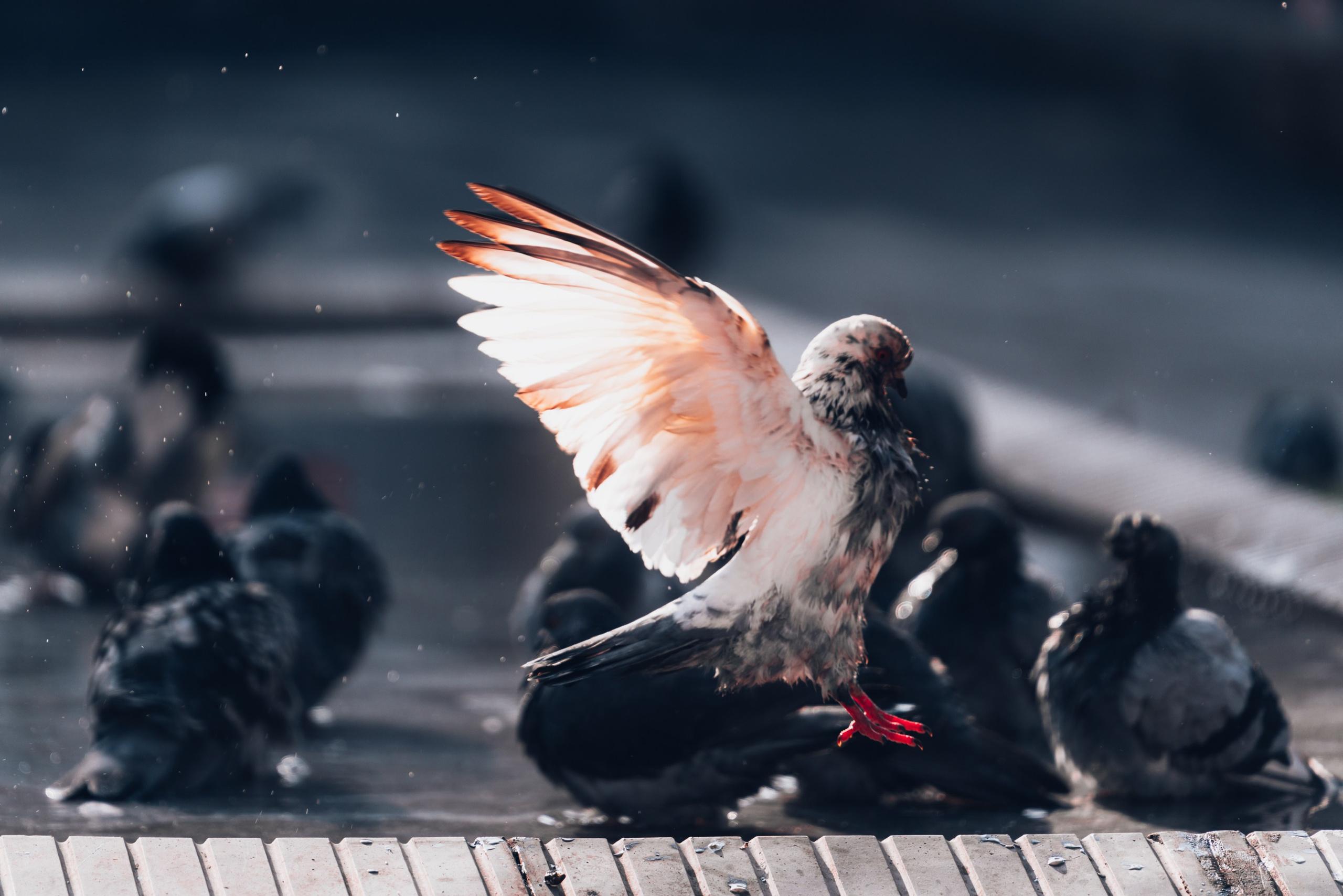 Алматы, Декабрь 2024