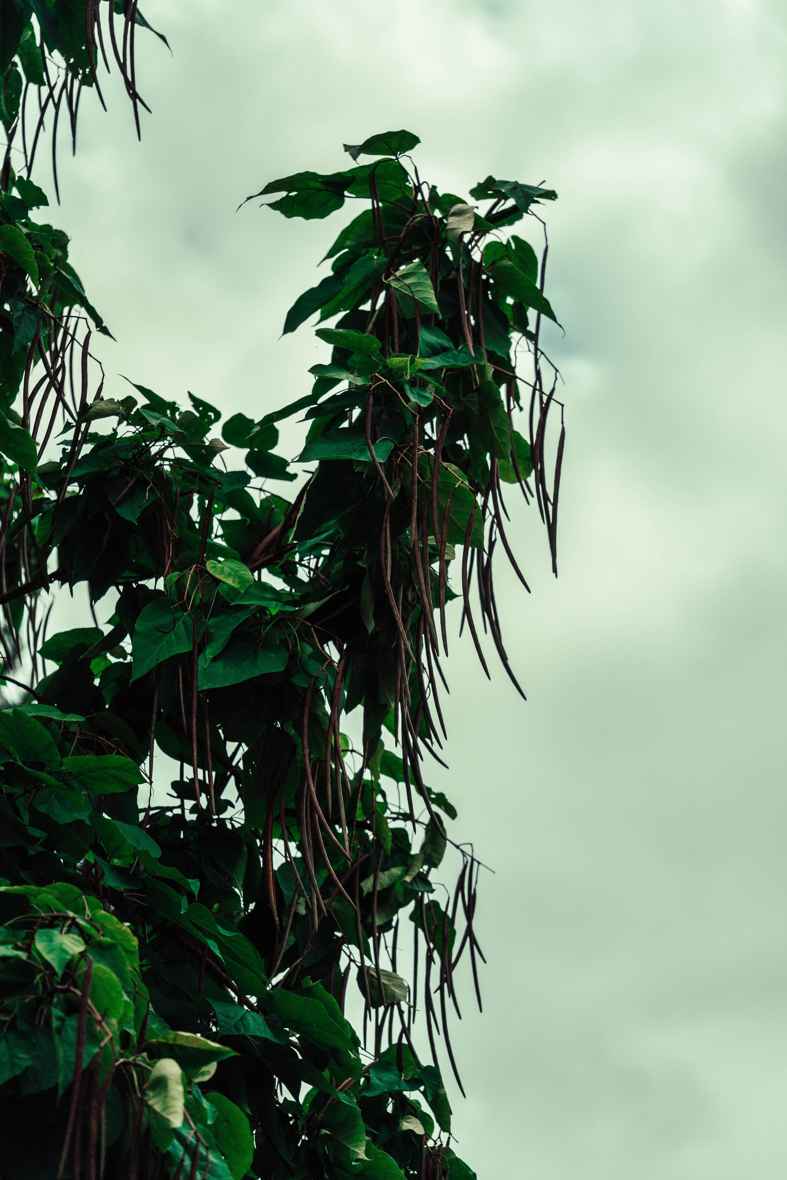 Усть-Каменогорск, Сентябрь 2024