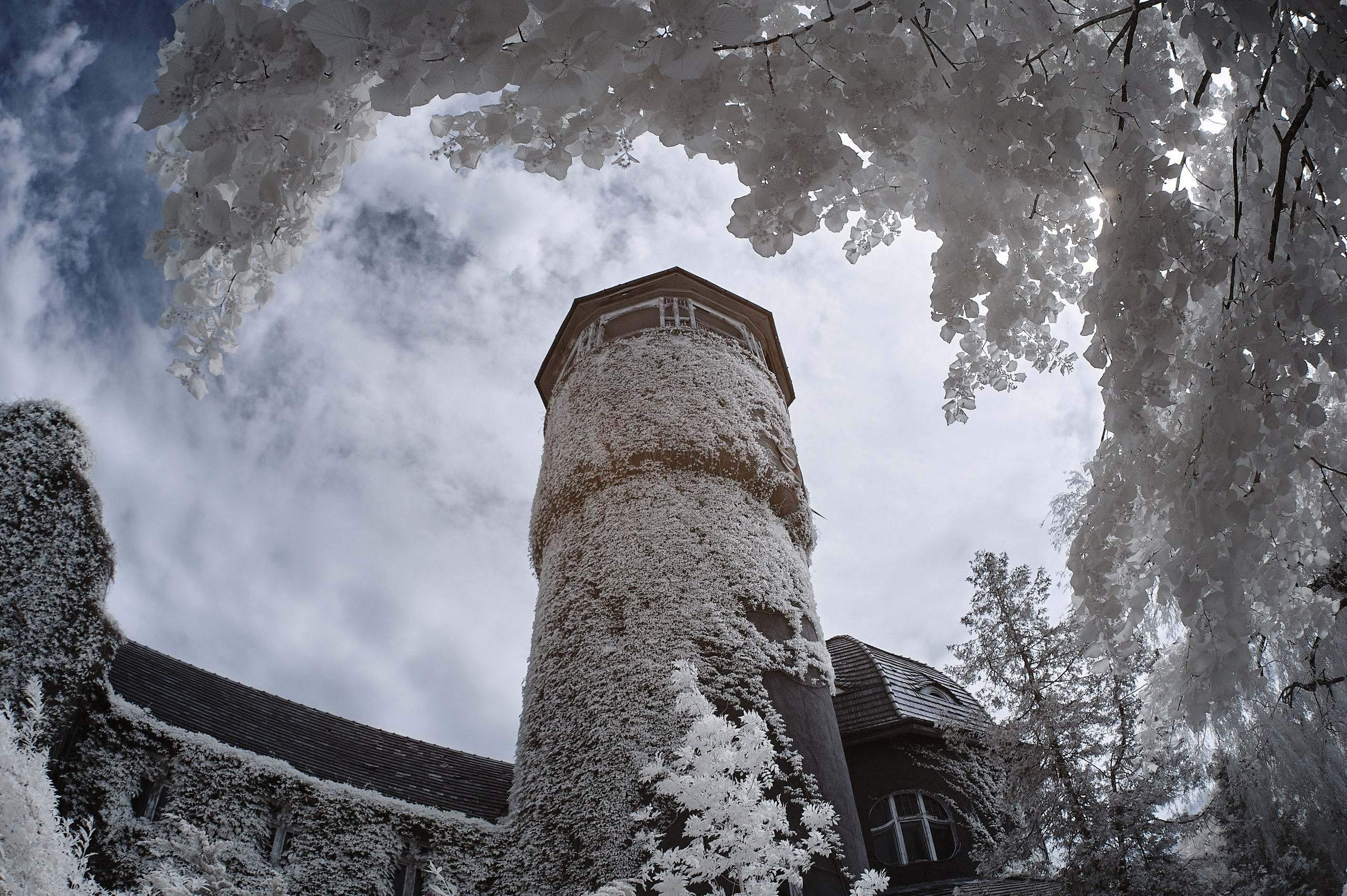 Infrared Photography. Solofilms