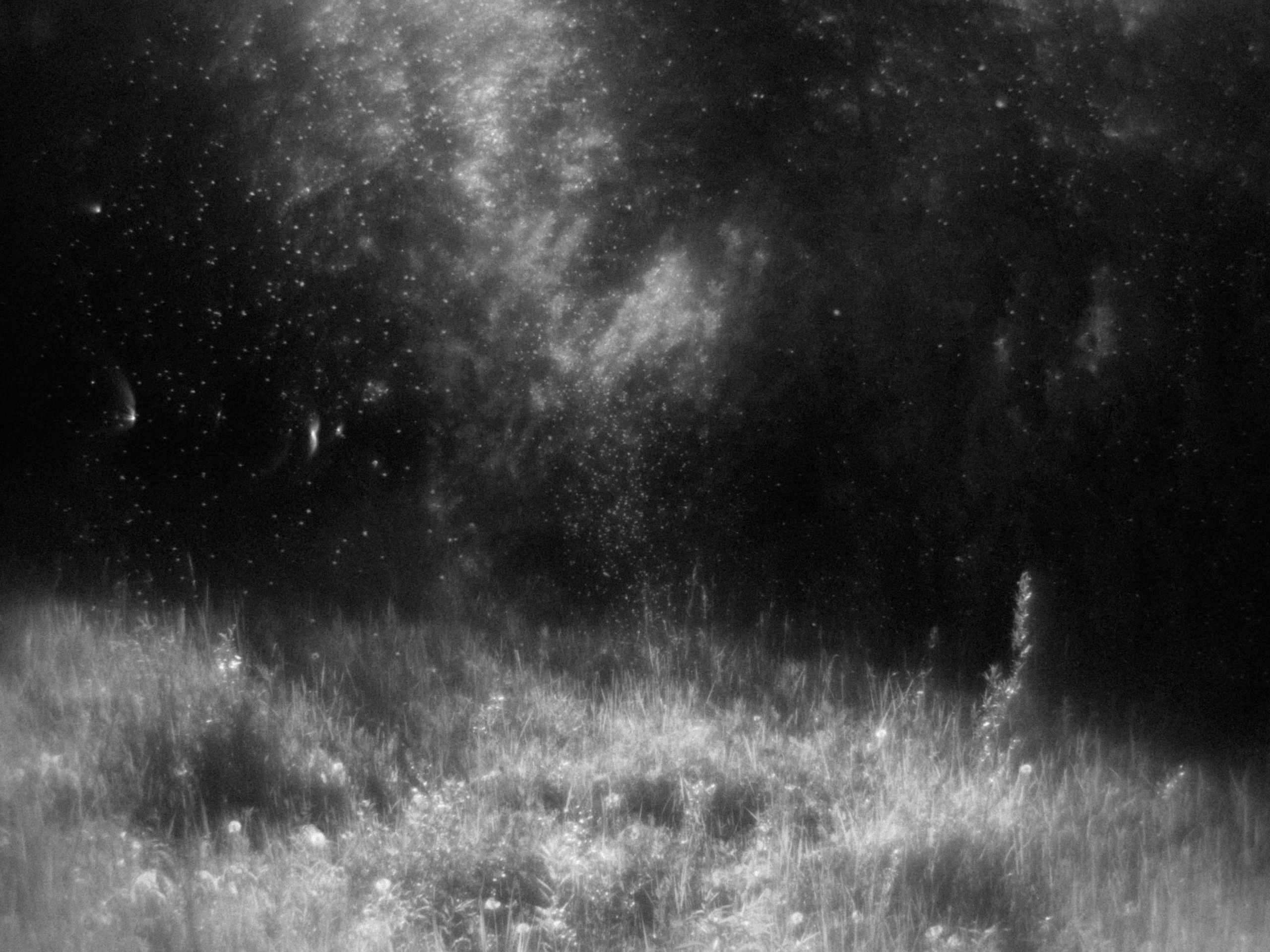 Ирочка Мякинино. Андрей Иванов. фотографические практики