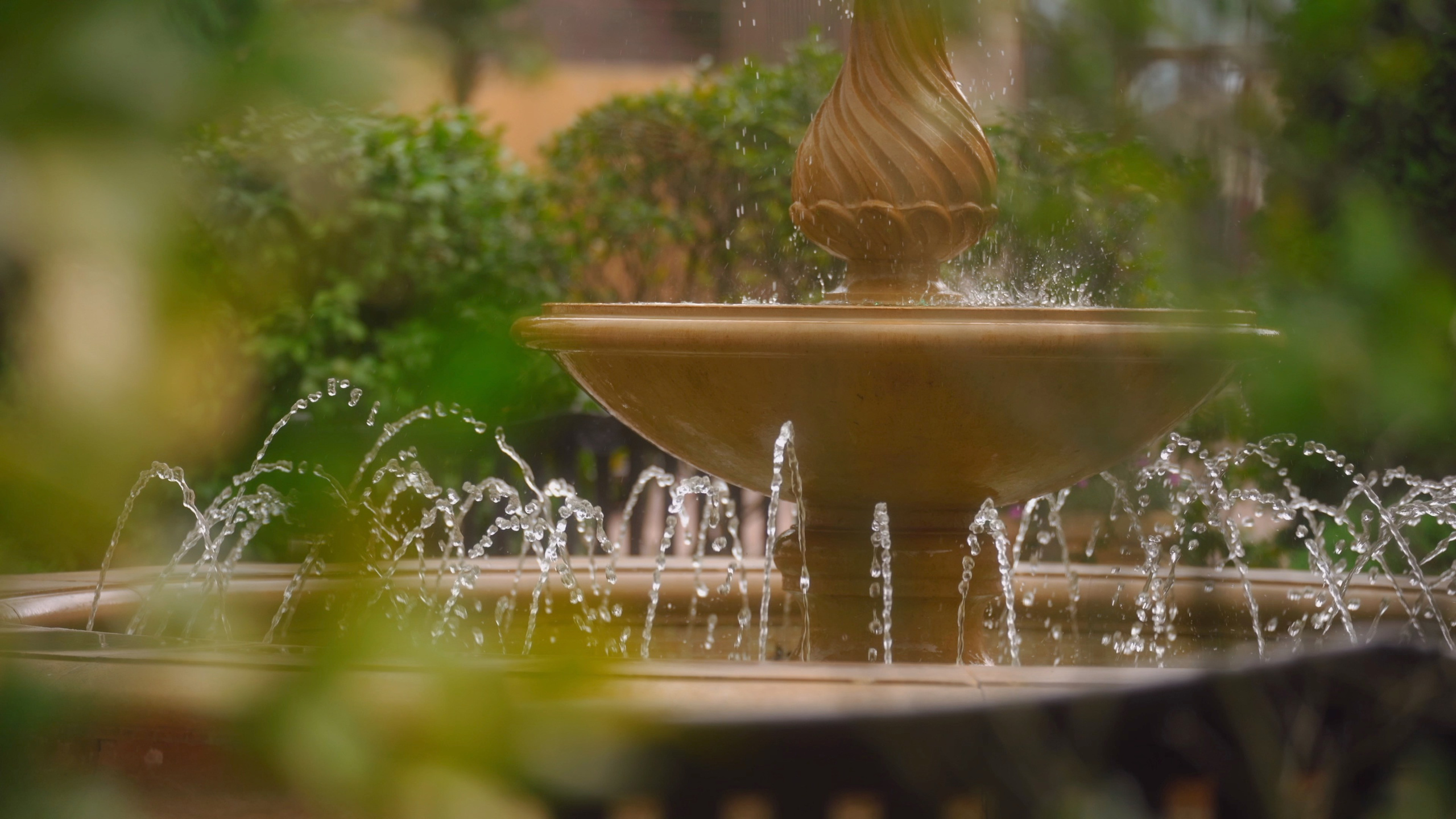 Ульяна и Олег. Агата Акварель видеограф Сочи Краснодар