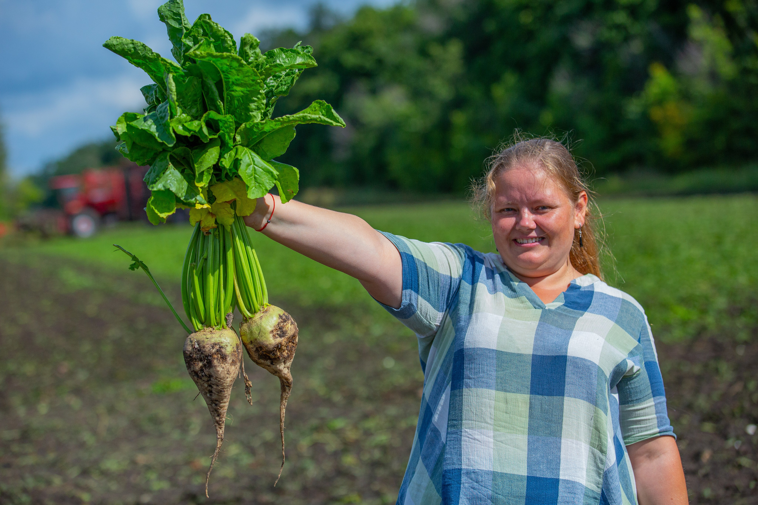Сахарная свекла в руках у агронома