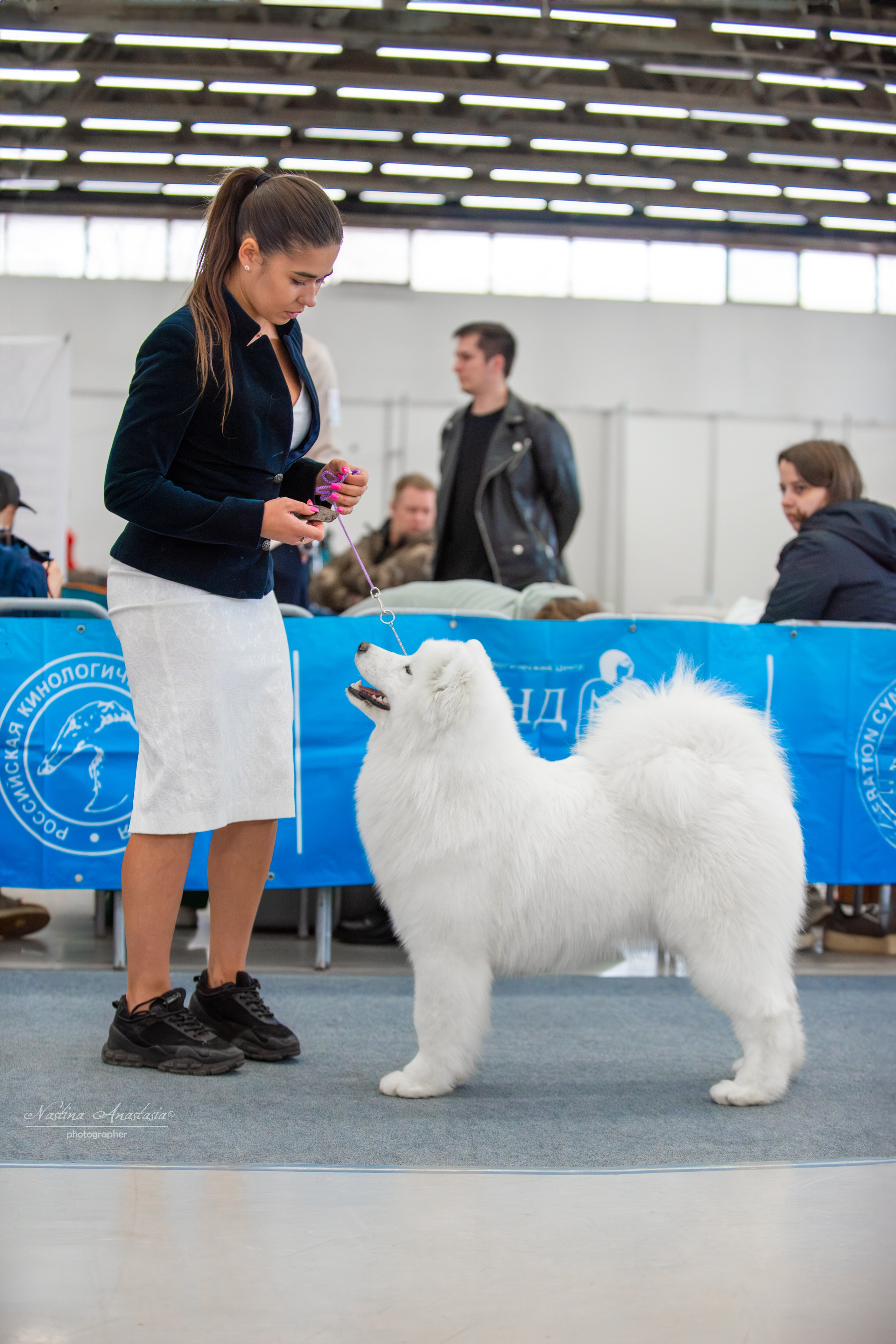 Выставки. Фотограф — Анималист