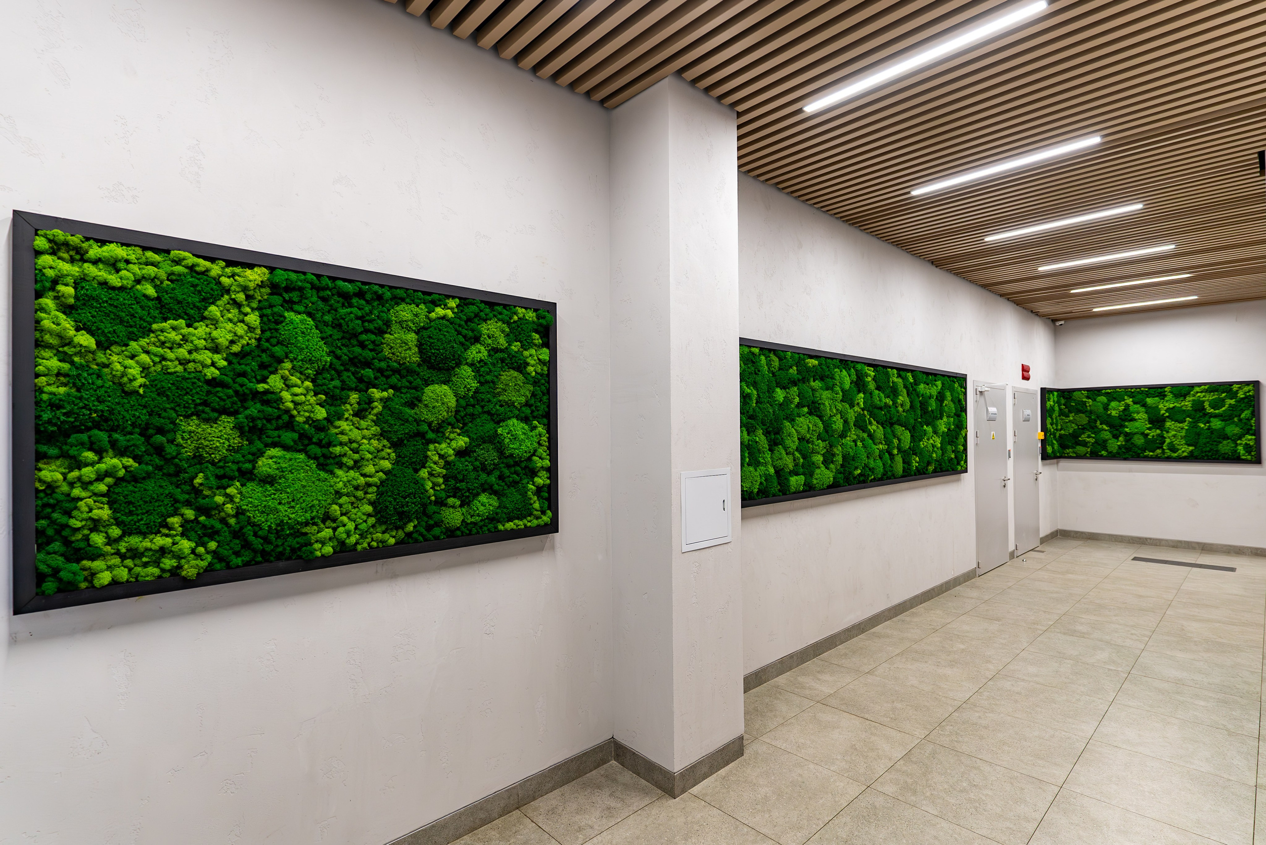 Индустриальный парк — озеленение. KUSTOV PRODUCTION — профессиональная фотосъёмка в Москве