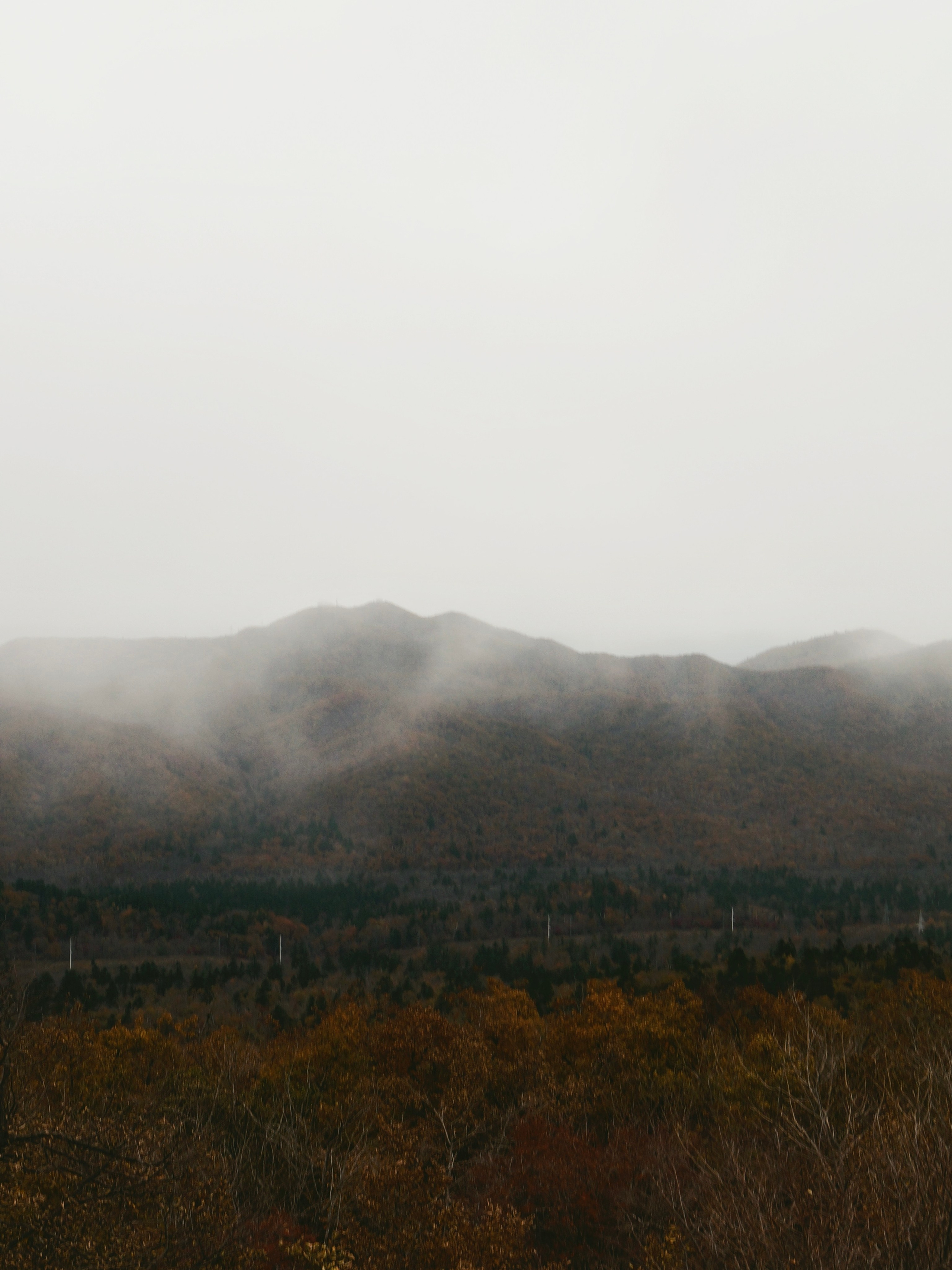 Путешествия. YUULETAAAA