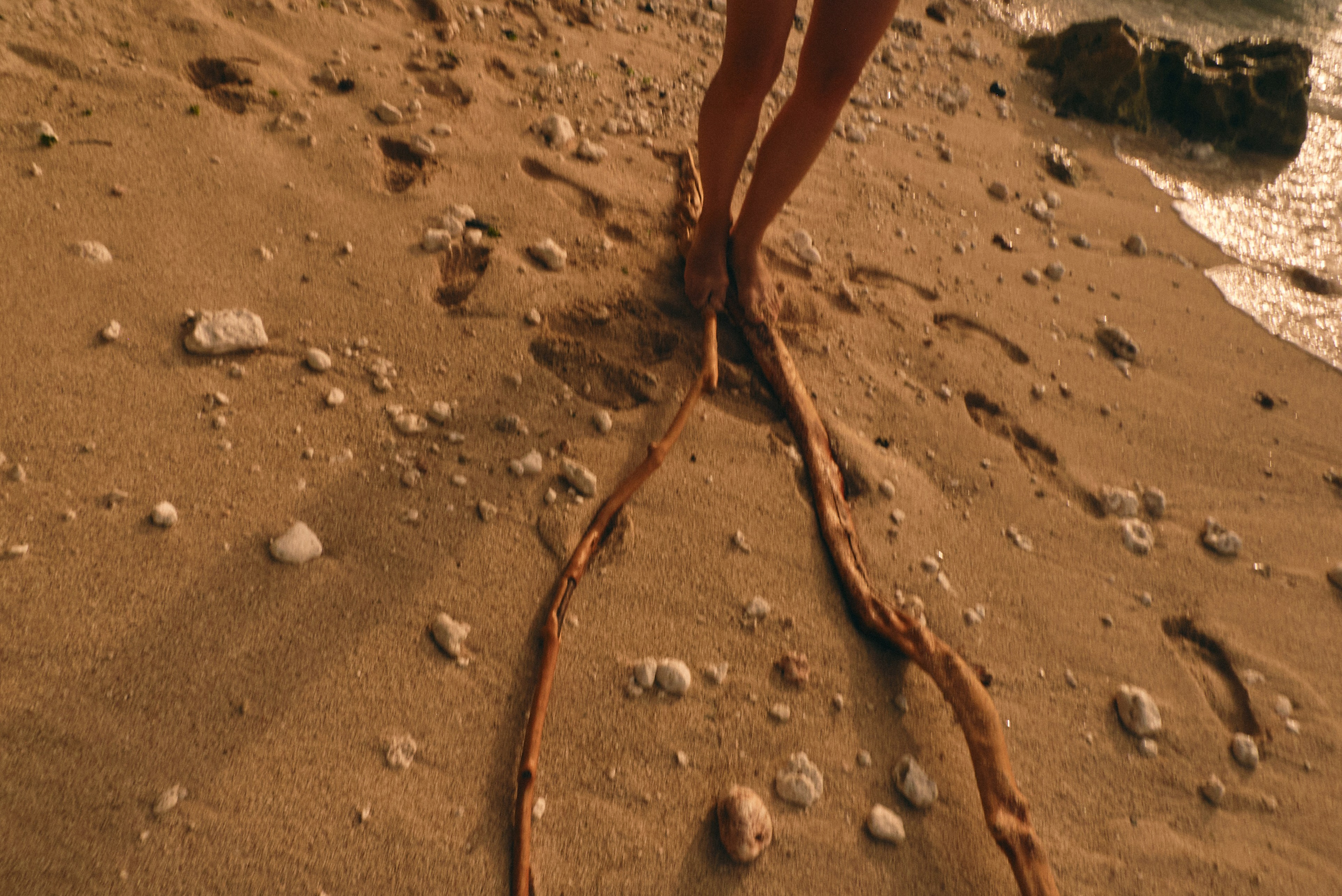 Катя. Виолетта Скрипка