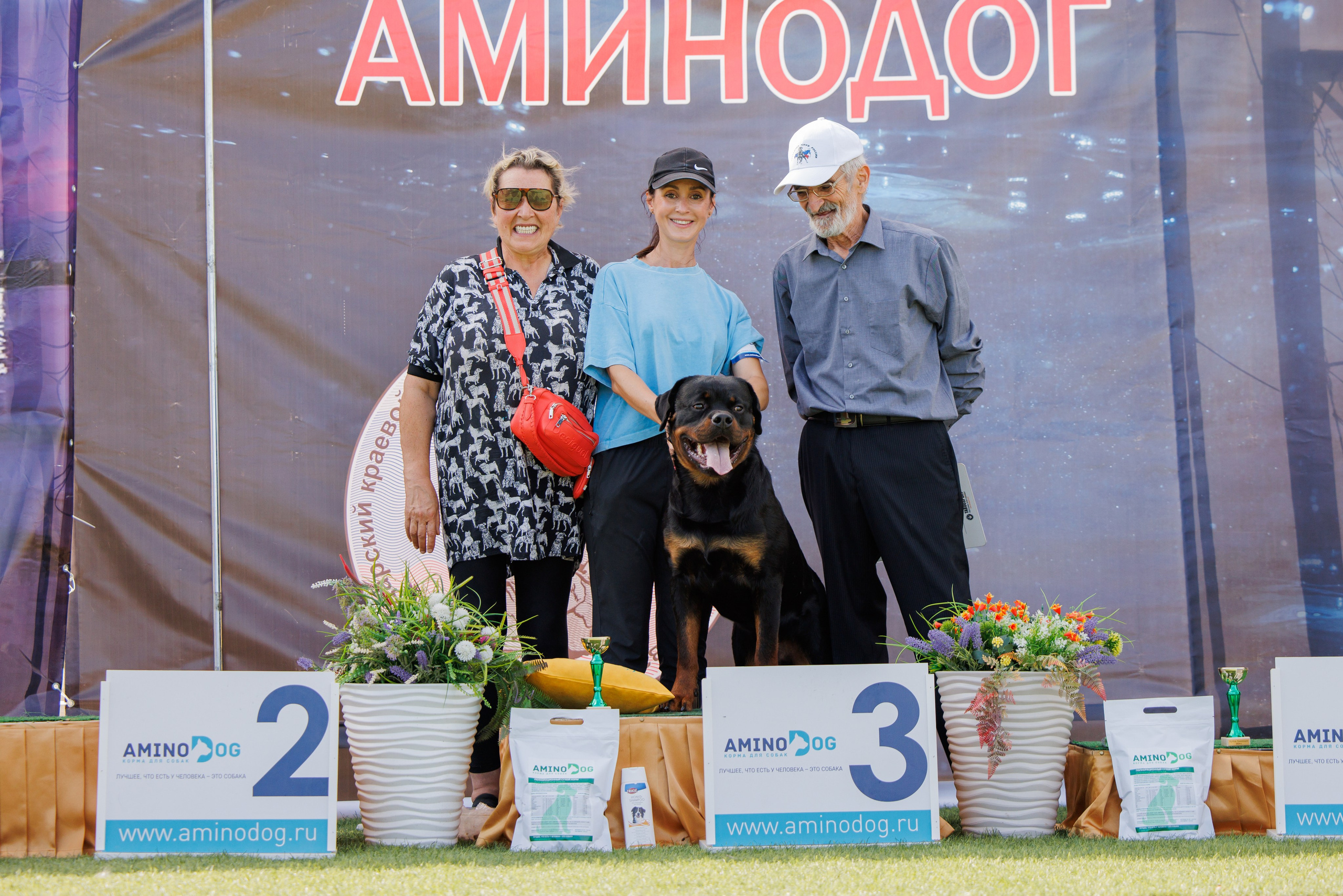 Анапа ротвейлеры 14-15.09.2024. Фотограф-анималист Юлия Германика