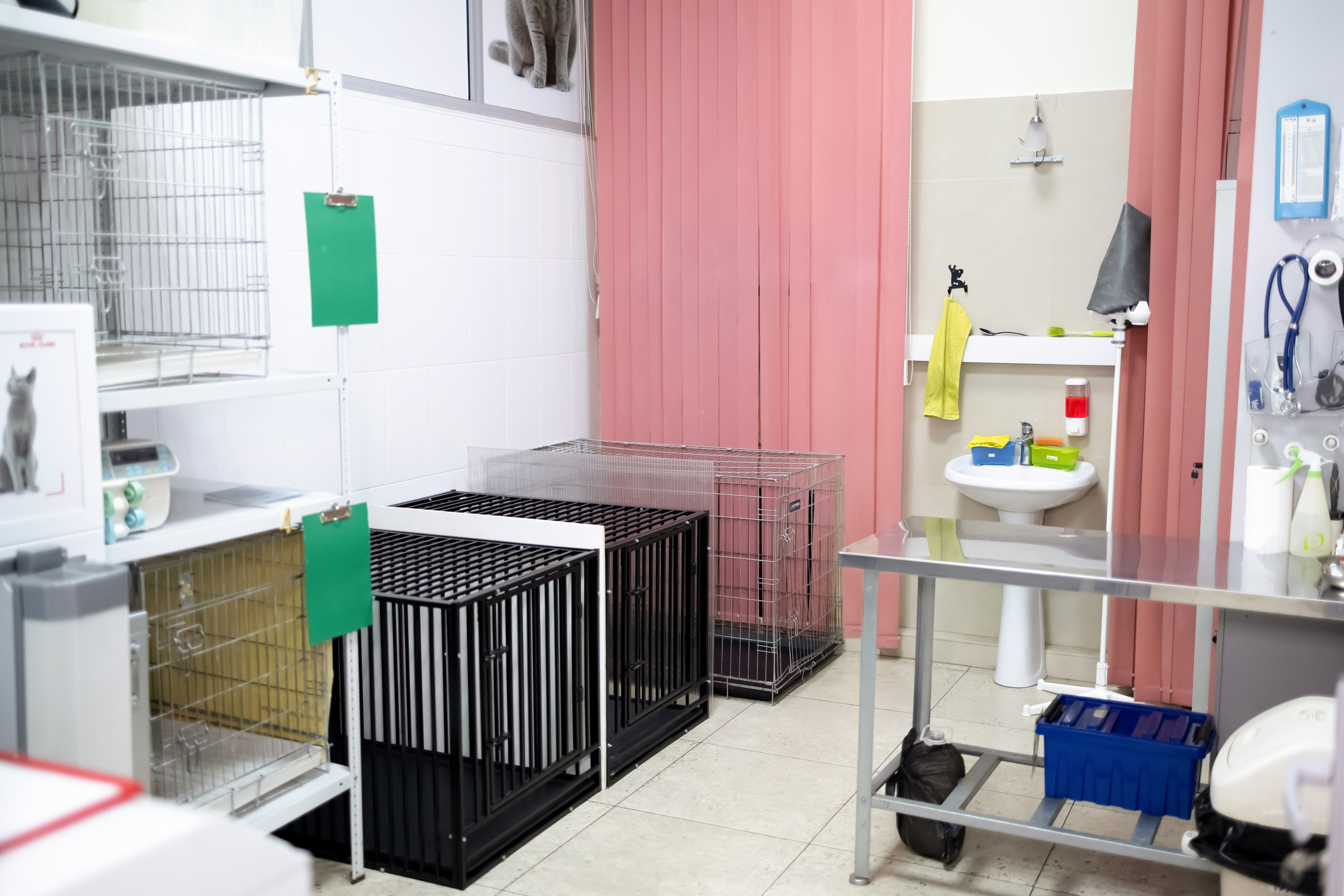 Ветеринарная клиника