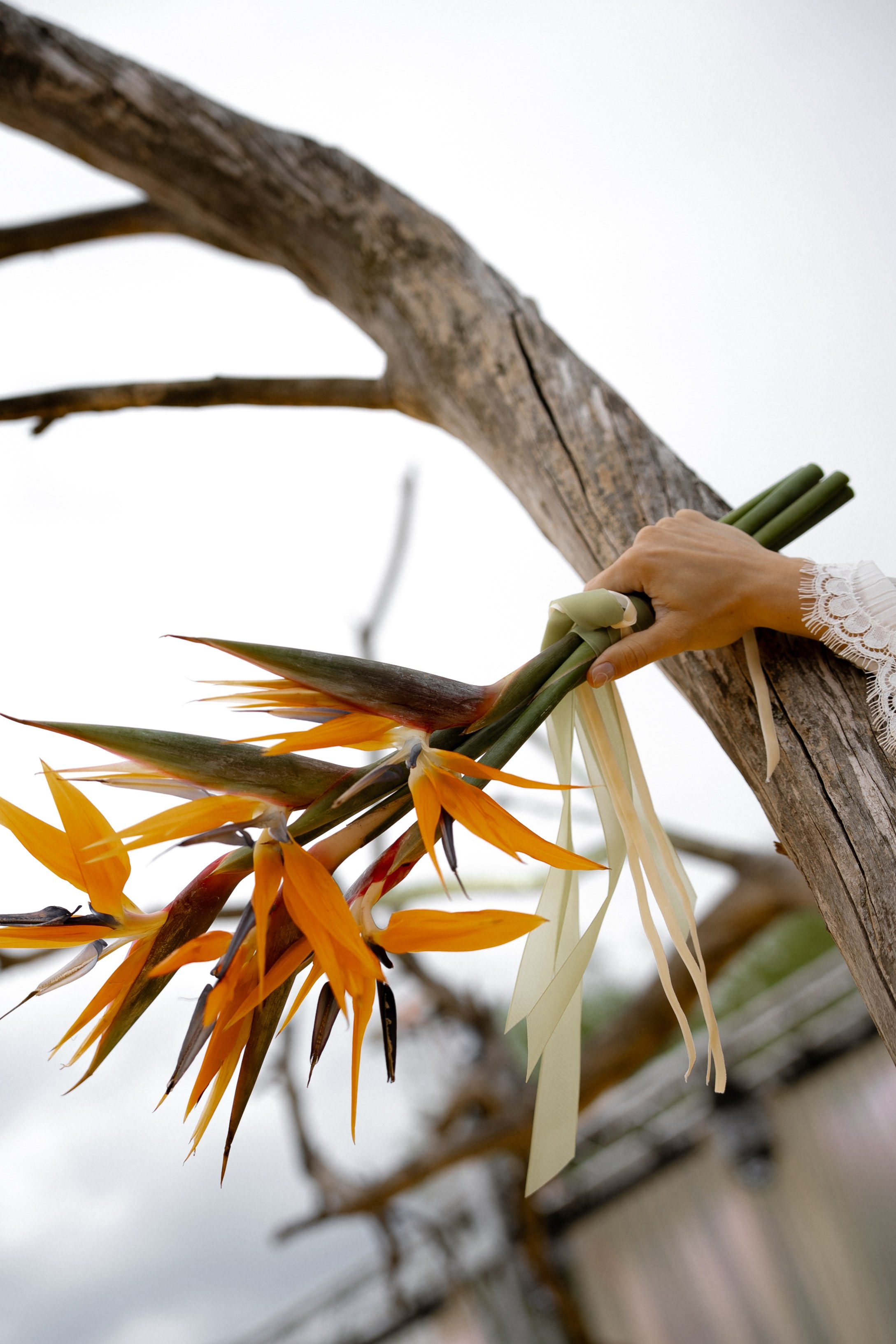 Майский Дождь. Полный день (сокращено). Семейный и портретный фотограф в Саратове Сахарова Маша