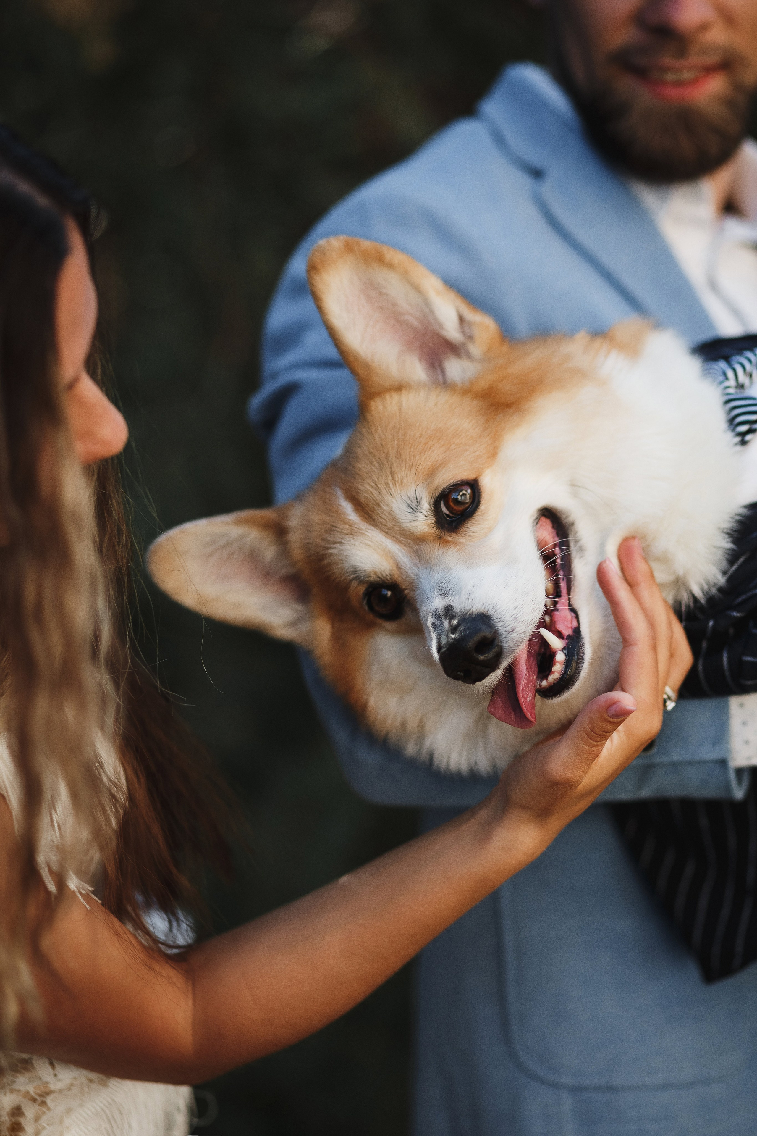 Фотосессия в Таганроге: Денис и Маша с их очаровательной собакой. Свадебный и семейный фотограф в Таганроге Бакарюк Антон