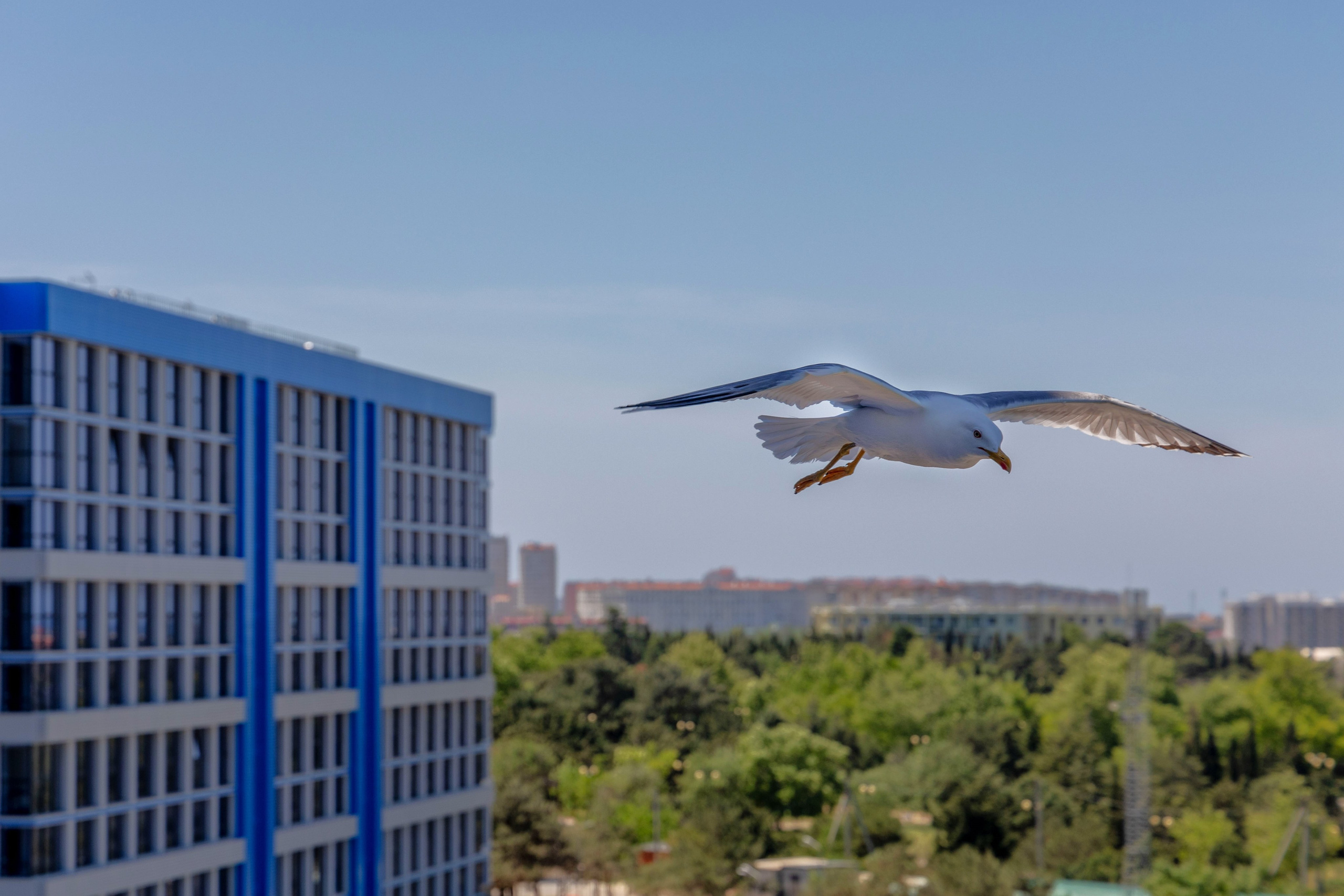 Фотограф Татьяна Марсуверских г. Жуковский, Москва и Мо. Репортажные съёмки, фотосессии,  фотограф анималист, фотосъёмка животных. Фотограф для маркетплейсов, фотоуслуги в Жуковском Татьяна Марсуверских