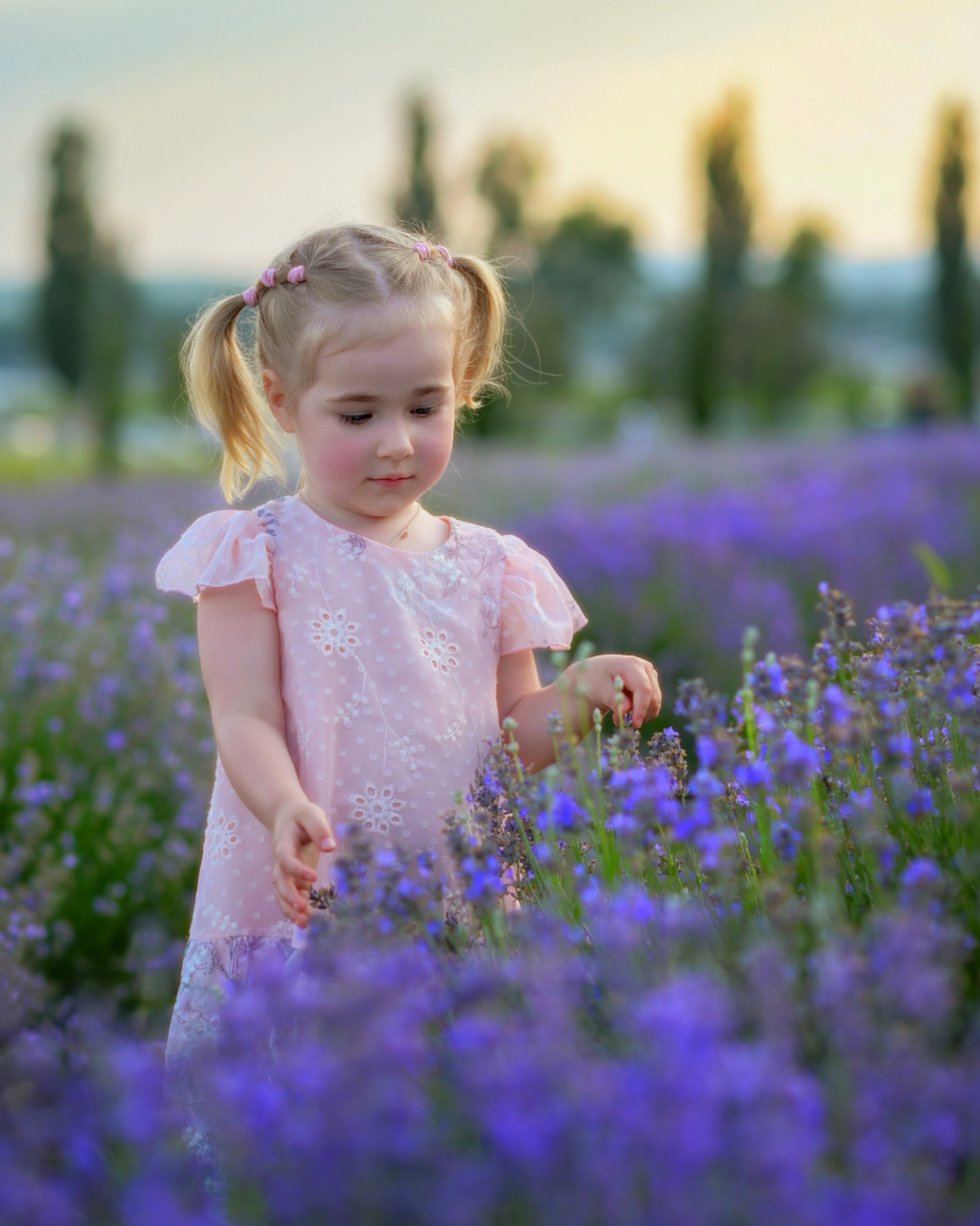 Лаванда. Семейный и детский фотограф Анапа