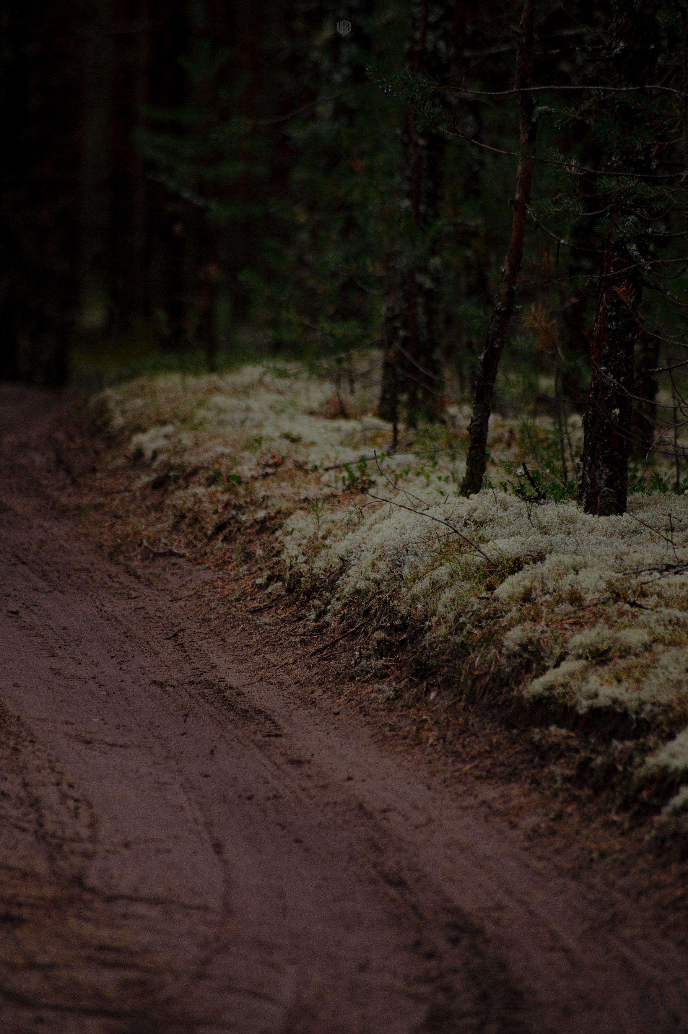 METADREAMS 2024. Контент фотограф Илья Урс