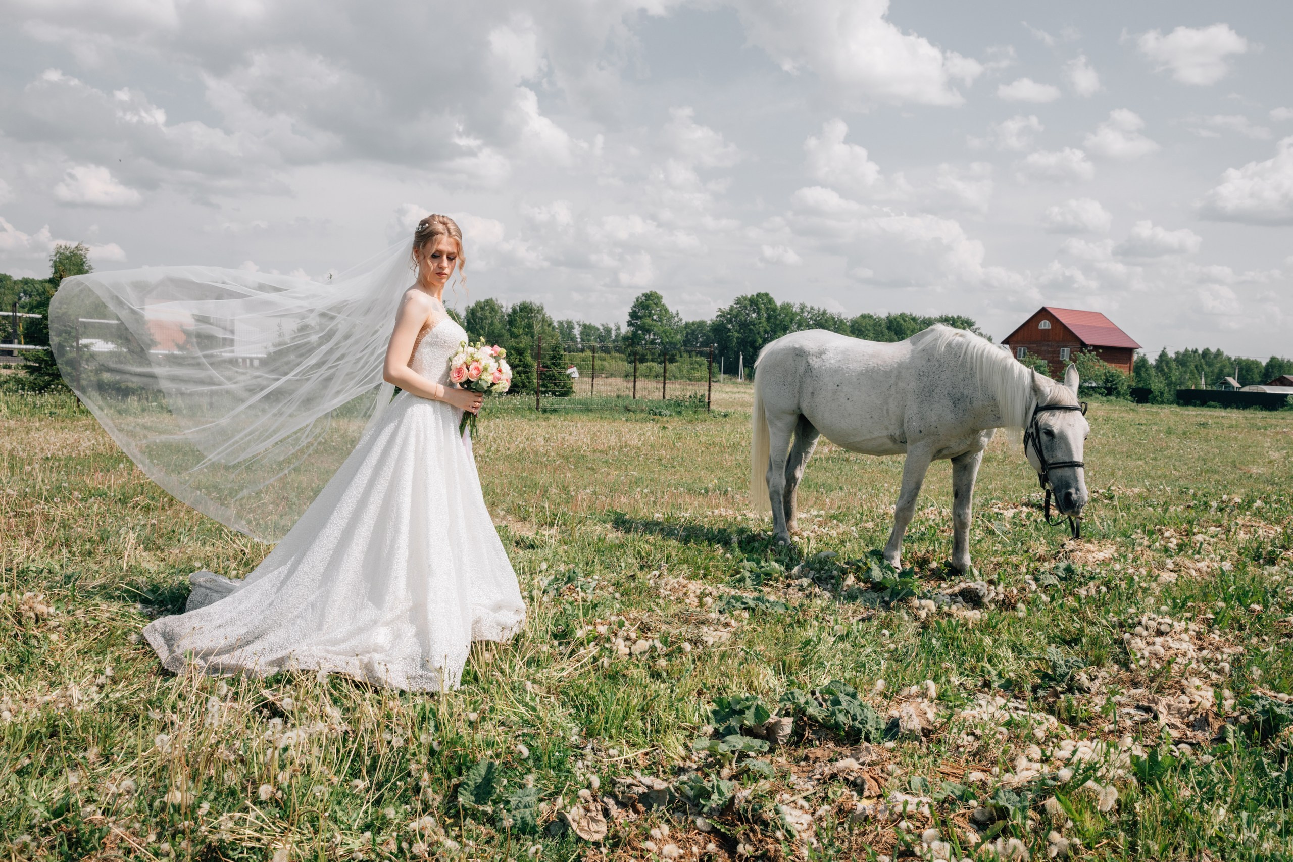 Wedding. Семейный фотограф