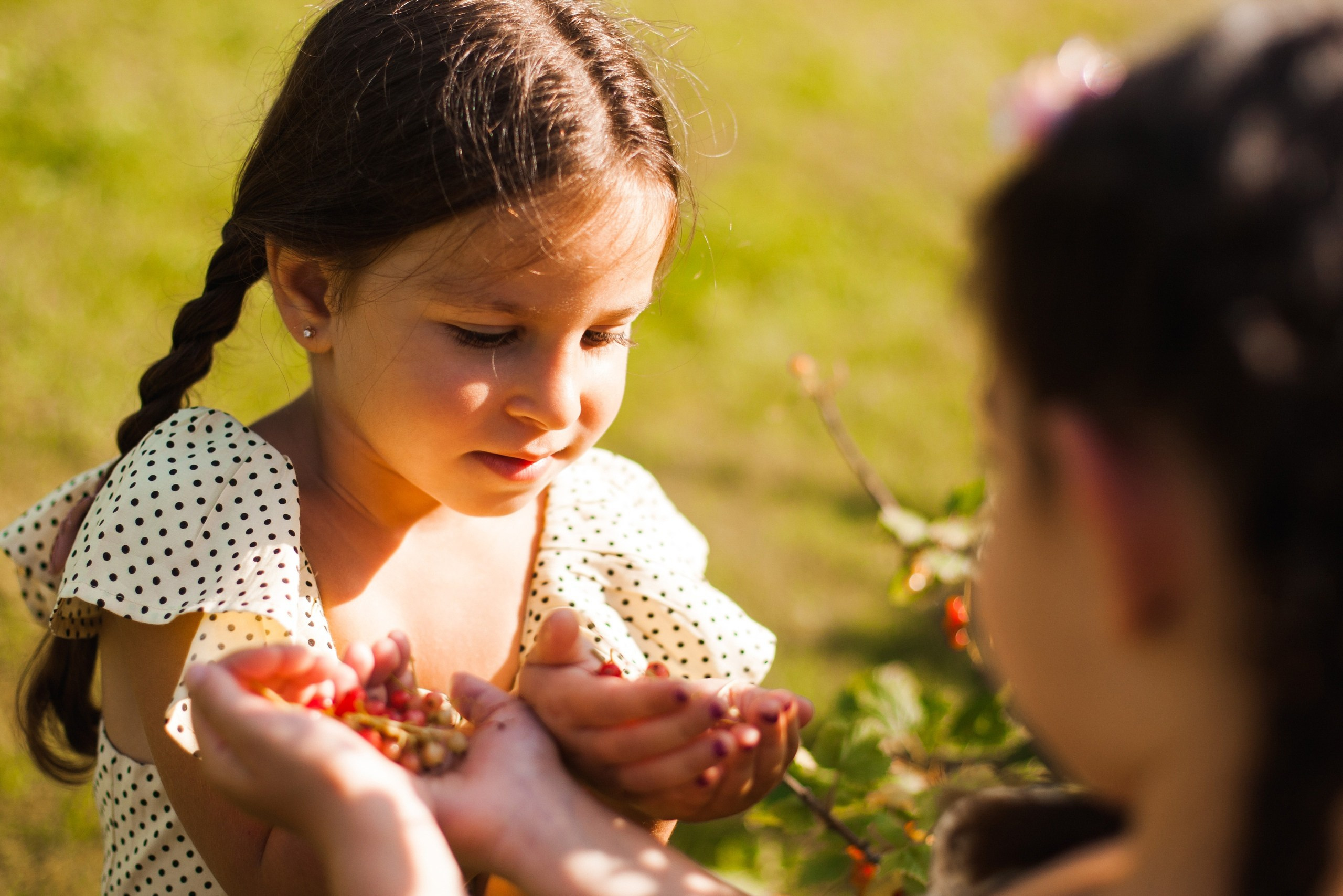 Ягоды. Фотограф новорожденных в Брянске Анжелика Прохоренкова