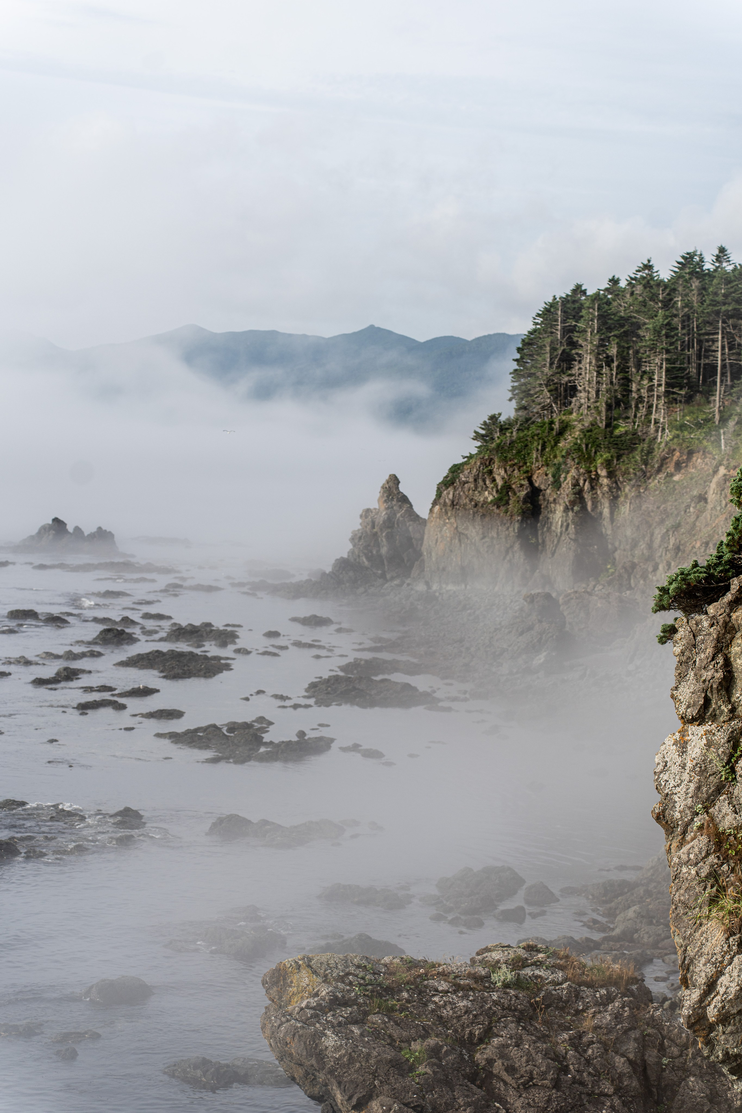 Сахалин 2025. Творческие сьемки