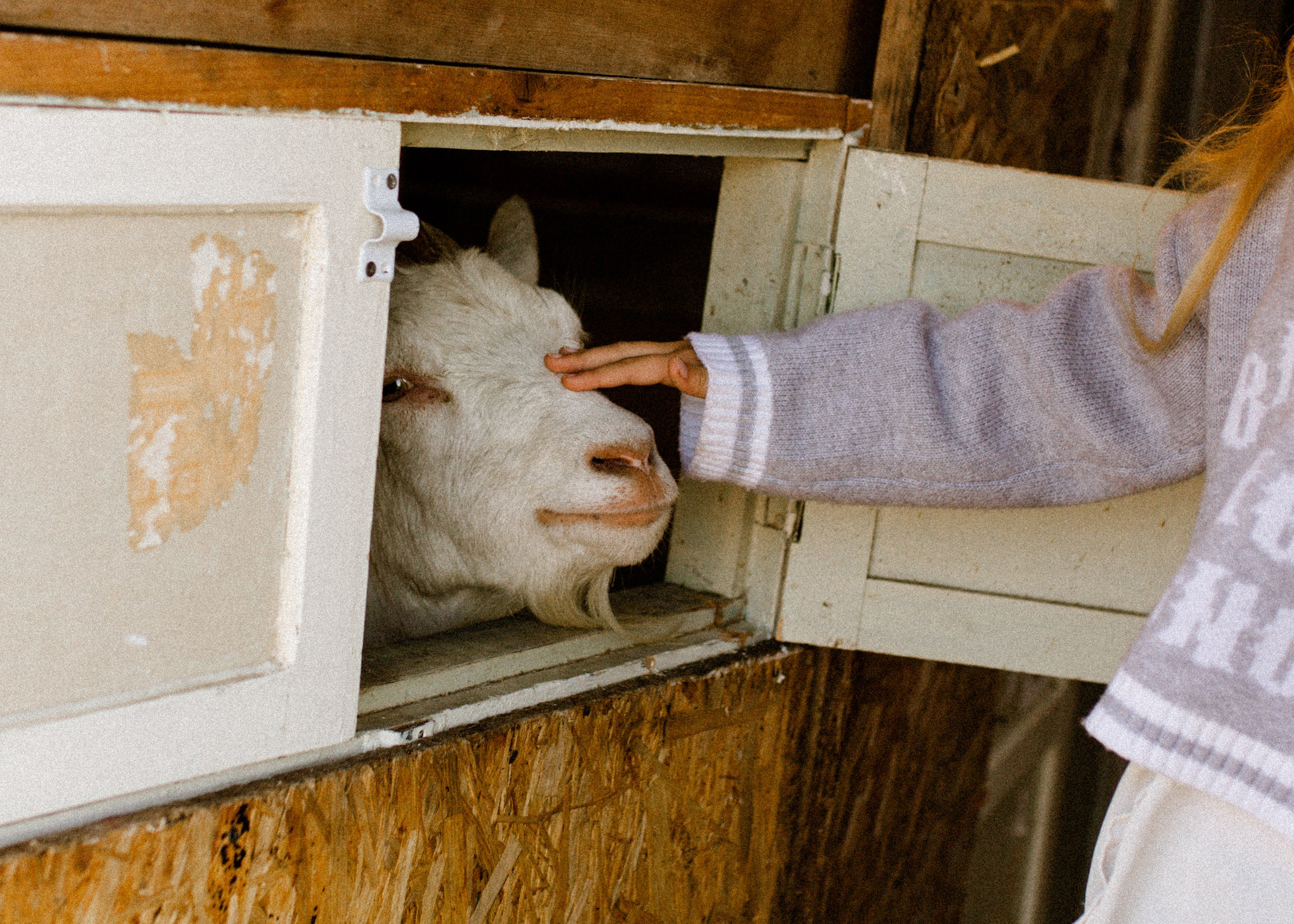 Осенний вайб Нелли. Фотограф в Приморско-Ахтарске Марьяна Чопко