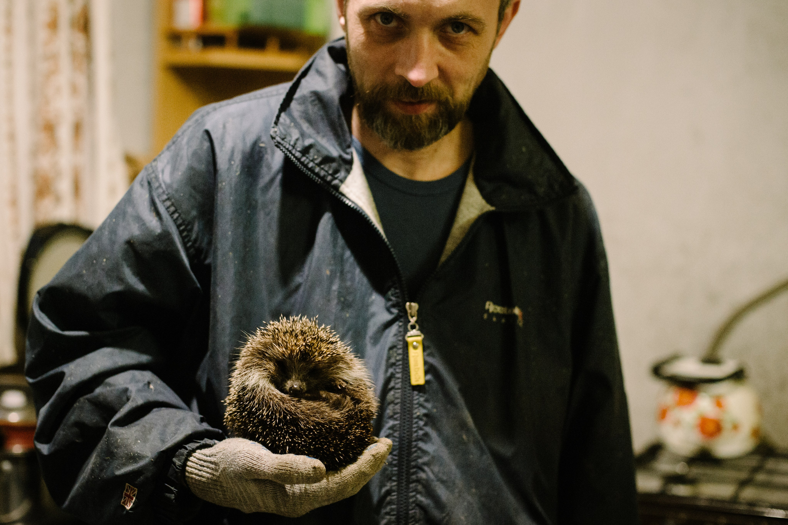 Дачная жизнь. Фотограф Алиса Калинина