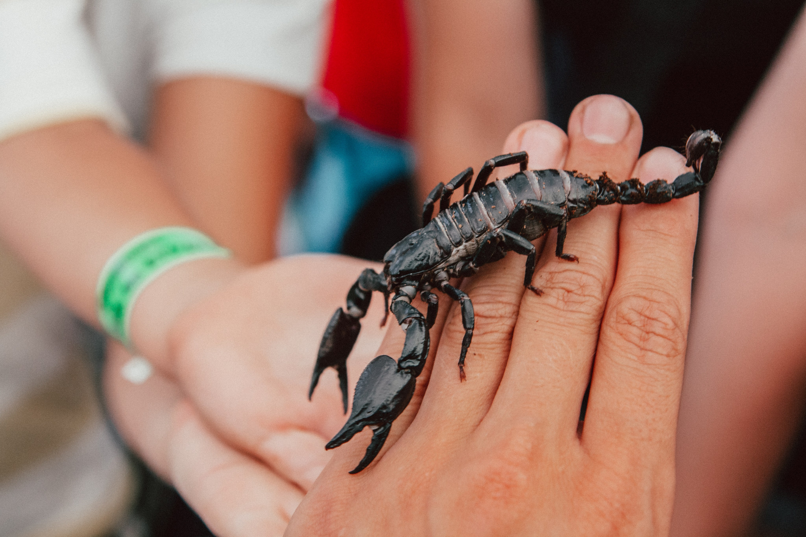Ленинградская область (серия книг «Крым — Путь к Свободе»)». Репортажный фотограф во Всеволожске и Санкт-Петербурге Владимир Капустин