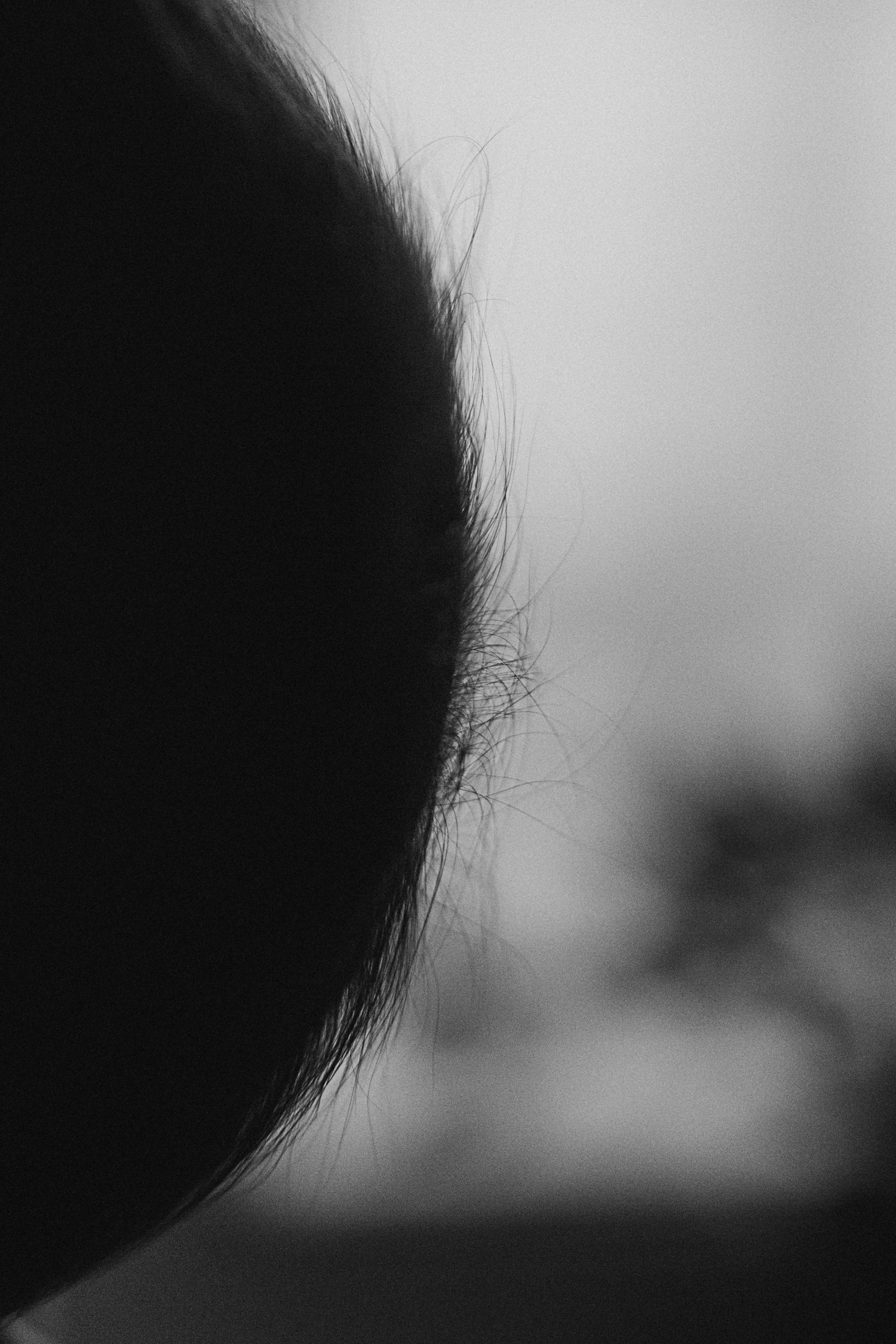 Даша Надя. Семейный фотограф в Минске и РБ Стеликова Анна