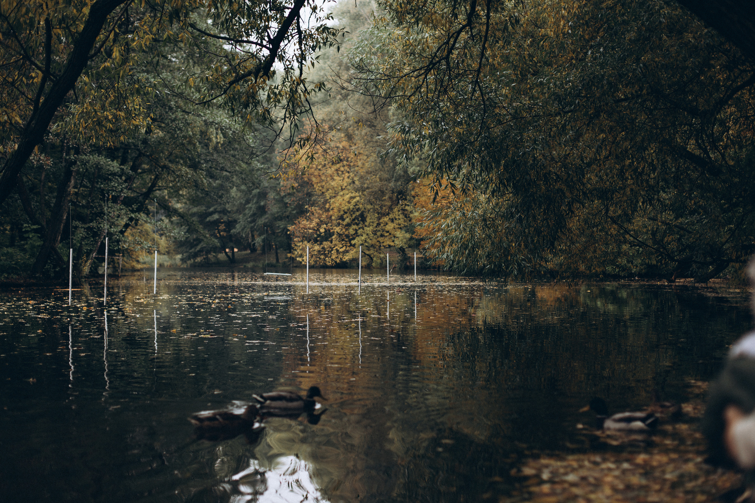 Женя саша тима мотя. Семейный фотограф в Минске и РБ Стеликова Анна