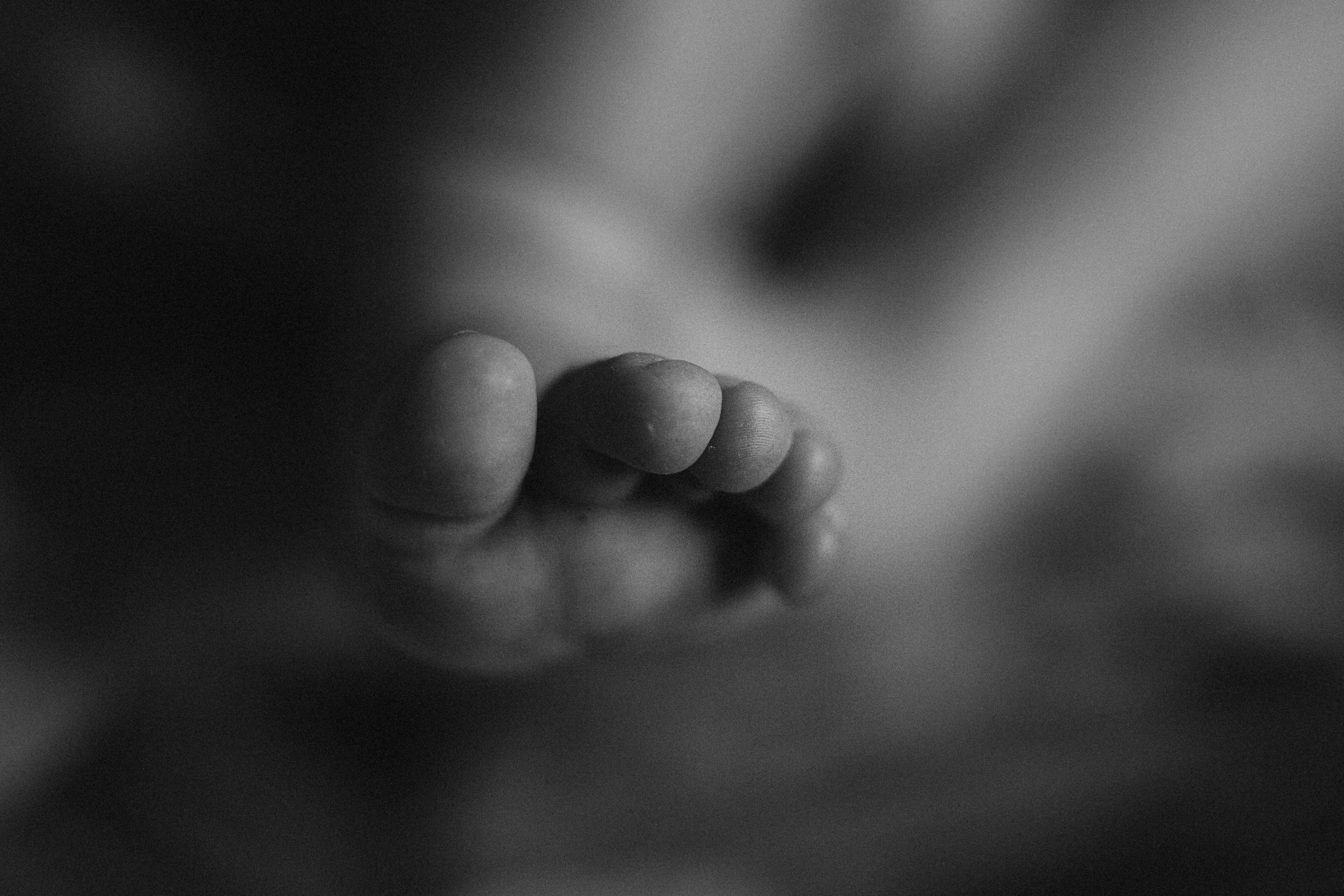 Даша Надя. Семейный фотограф в Минске и РБ Стеликова Анна