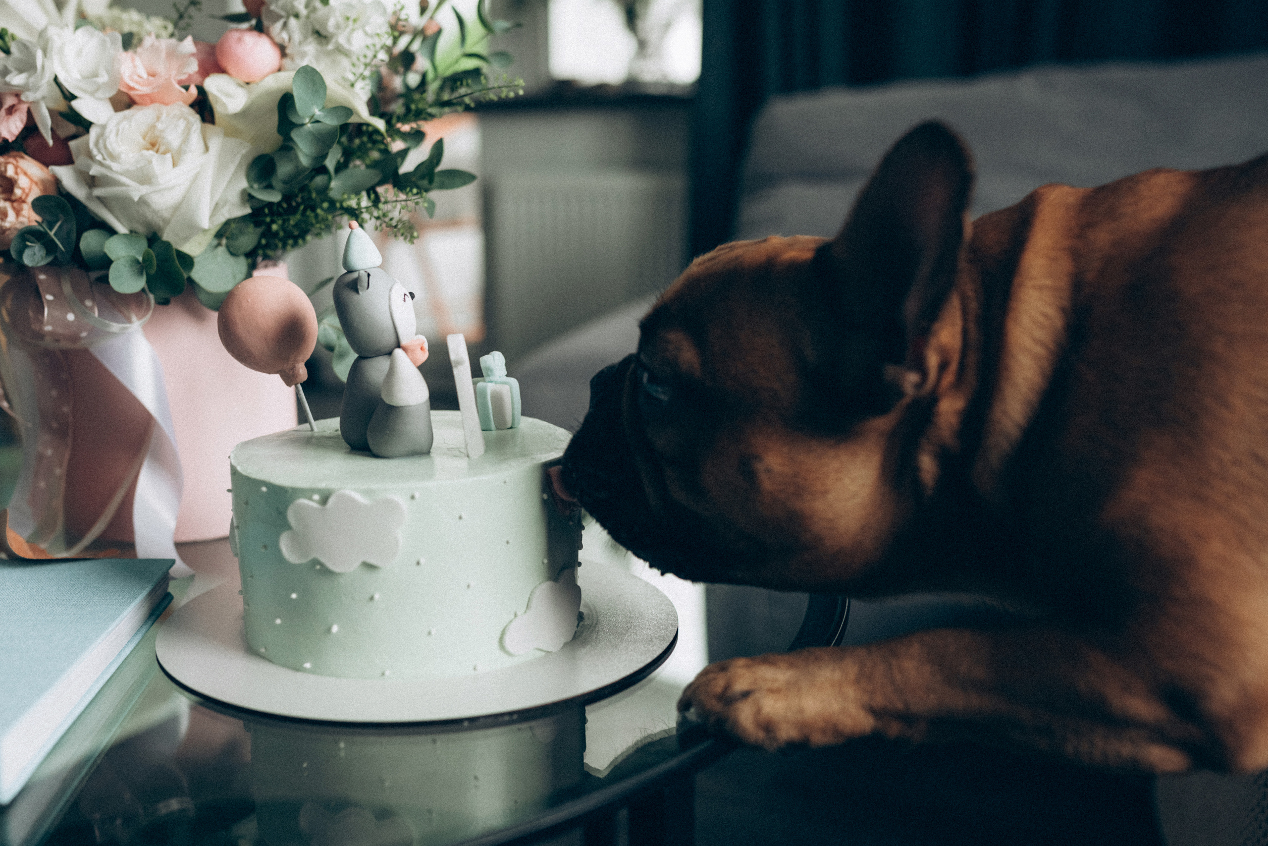 Сергей Саша Алиса. Семейный фотограф в Минске и РБ Стеликова Анна