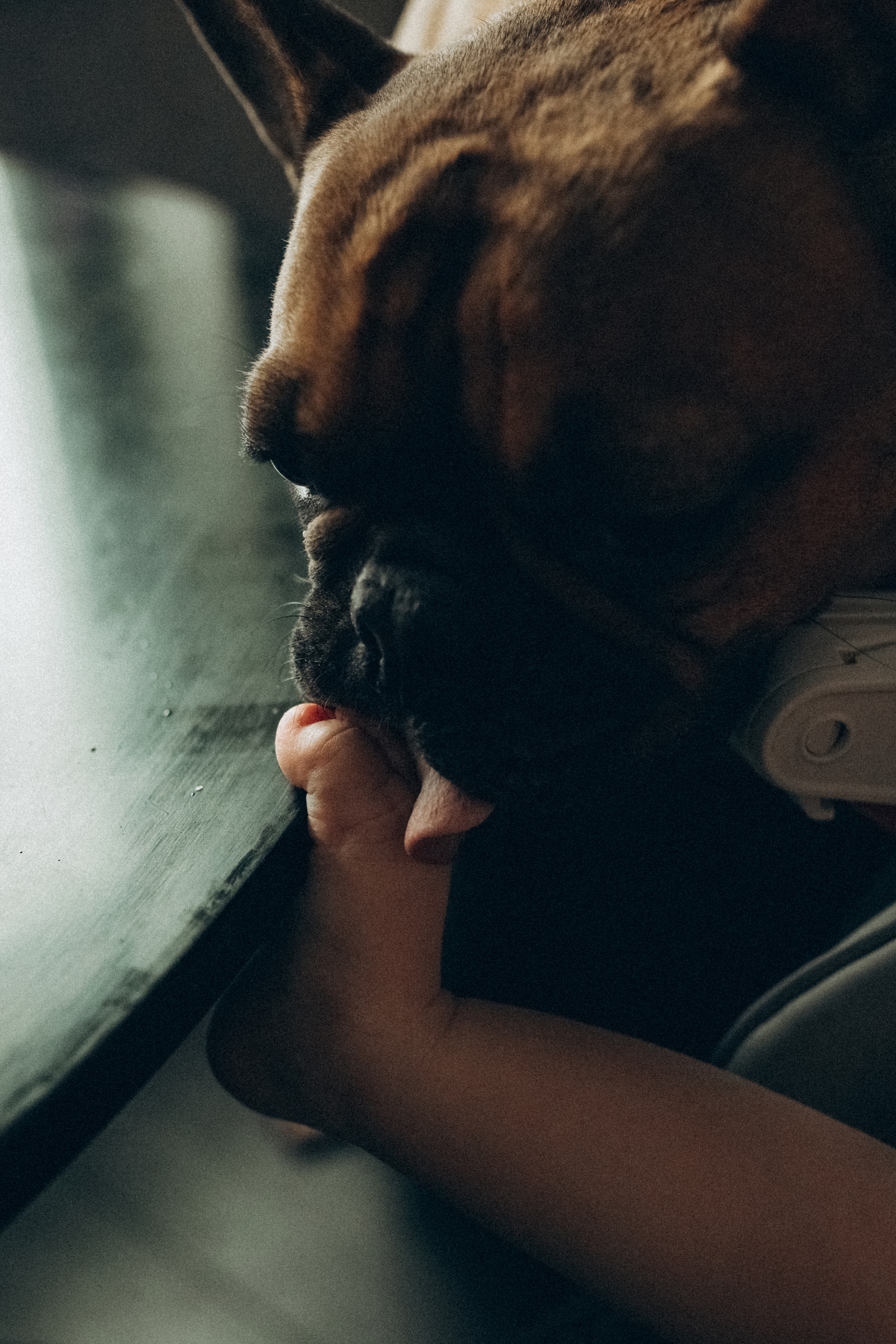 Сергей Саша Алиса. Семейный фотограф в Минске и РБ Стеликова Анна