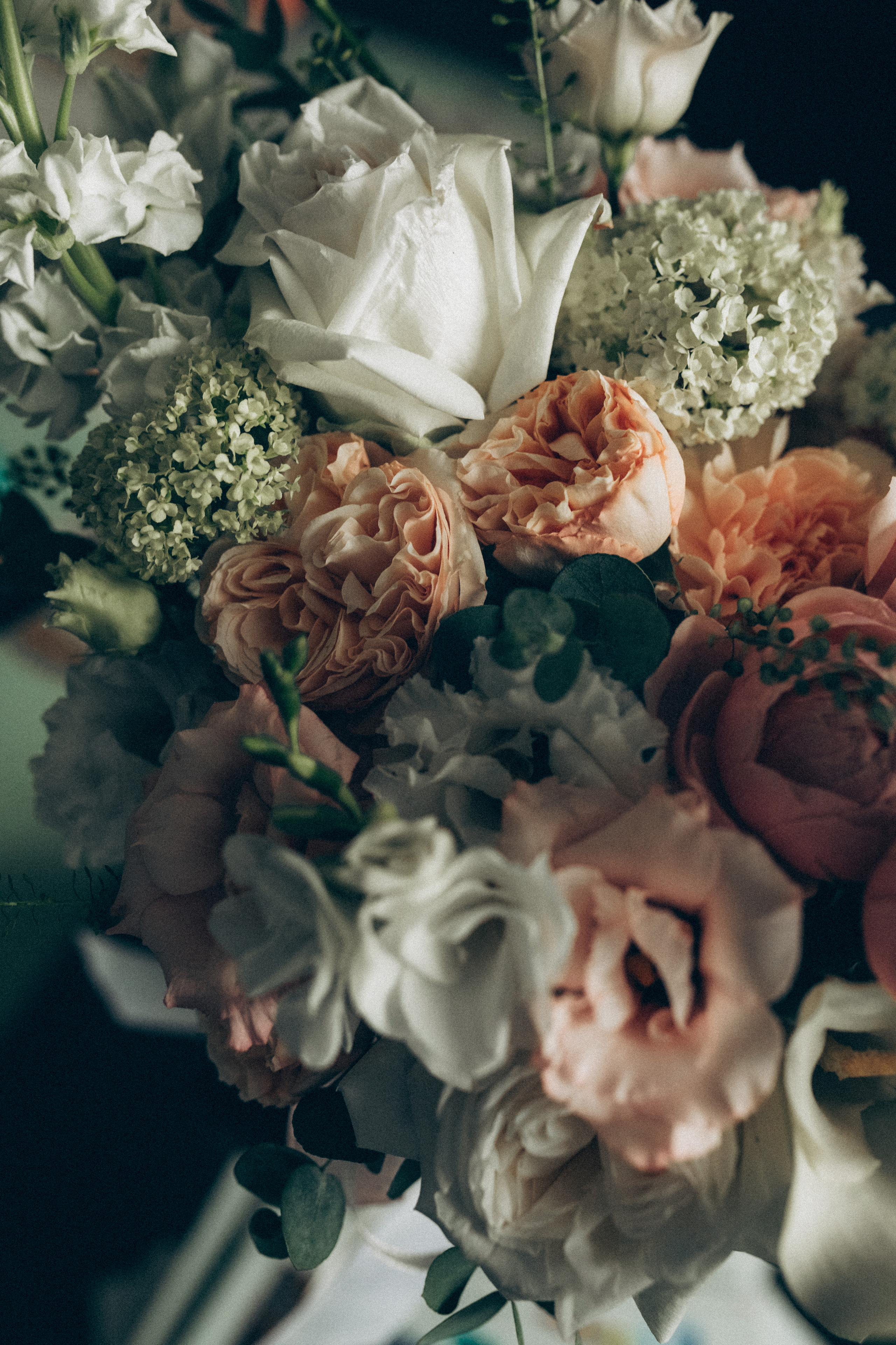 Сергей Саша Алиса. Семейный фотограф в Минске и РБ Стеликова Анна