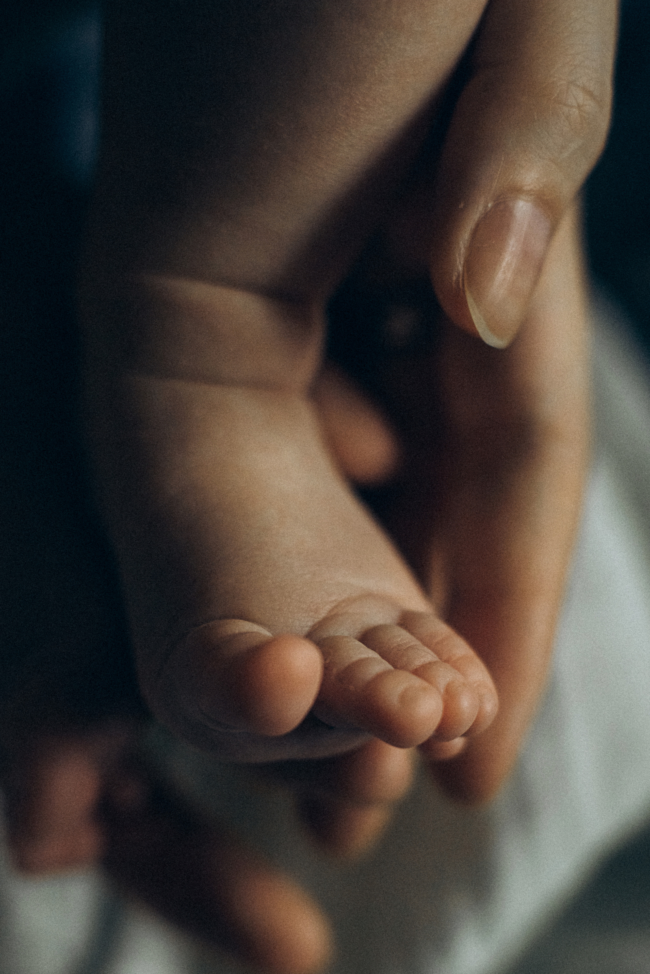 Даша Надя. Семейный фотограф в Минске и РБ Стеликова Анна