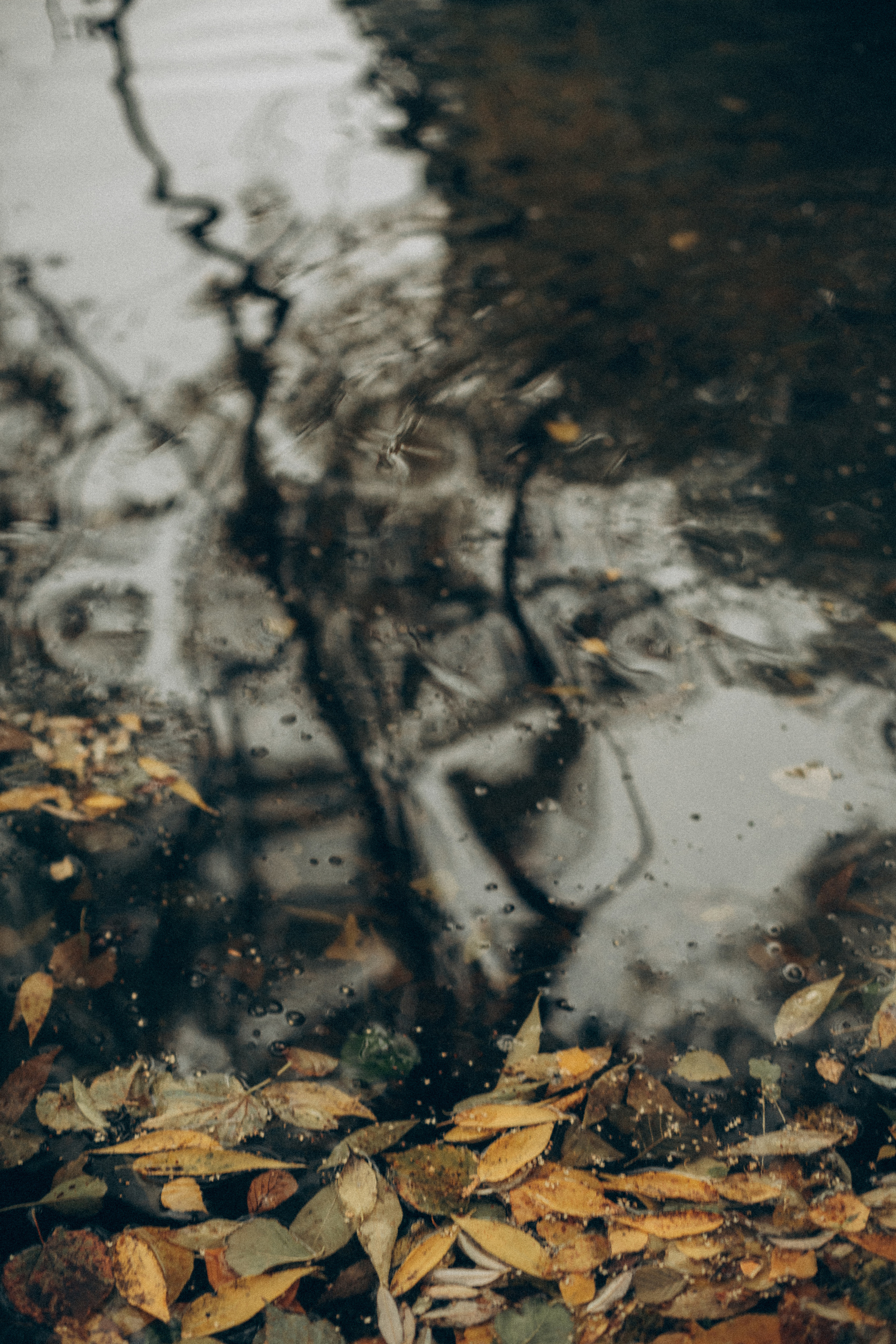 Женя саша тима мотя. Семейный фотограф в Минске и РБ Стеликова Анна