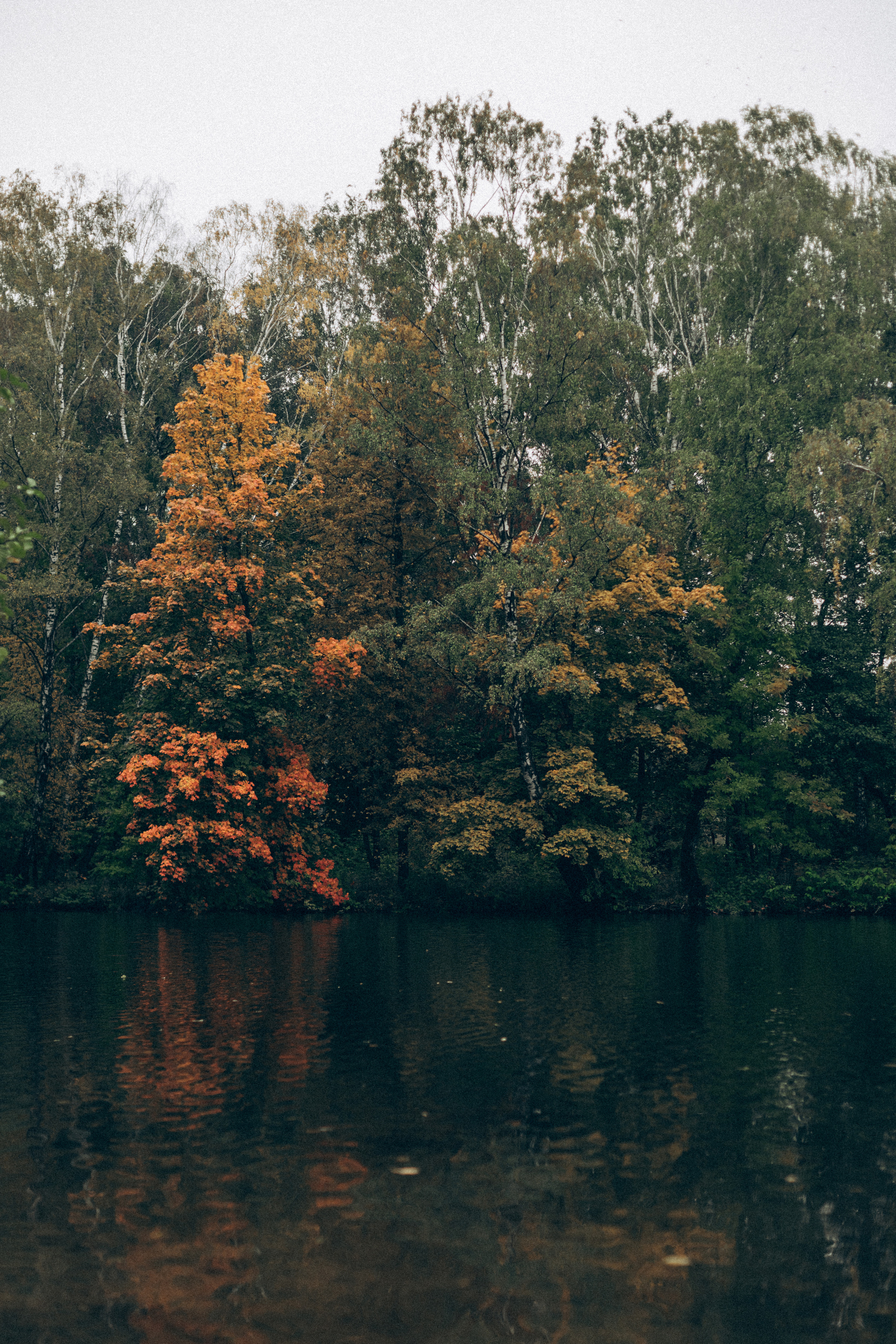 Женя саша тима мотя. Семейный фотограф в Минске и РБ Стеликова Анна