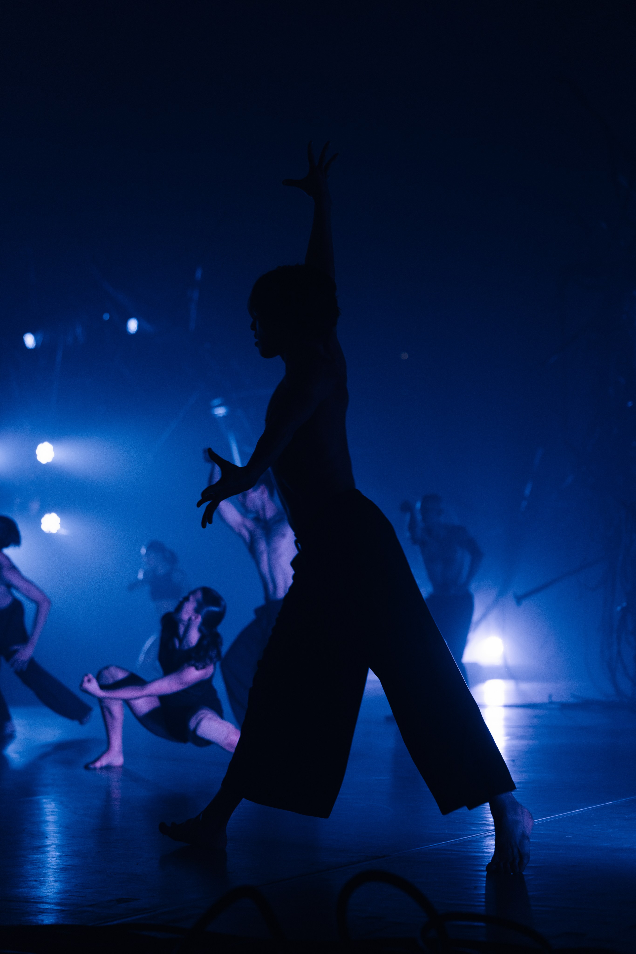 PERFORMA, The Hour of the Horse. @tomrus: Рустам Шагиморданов — фотограф