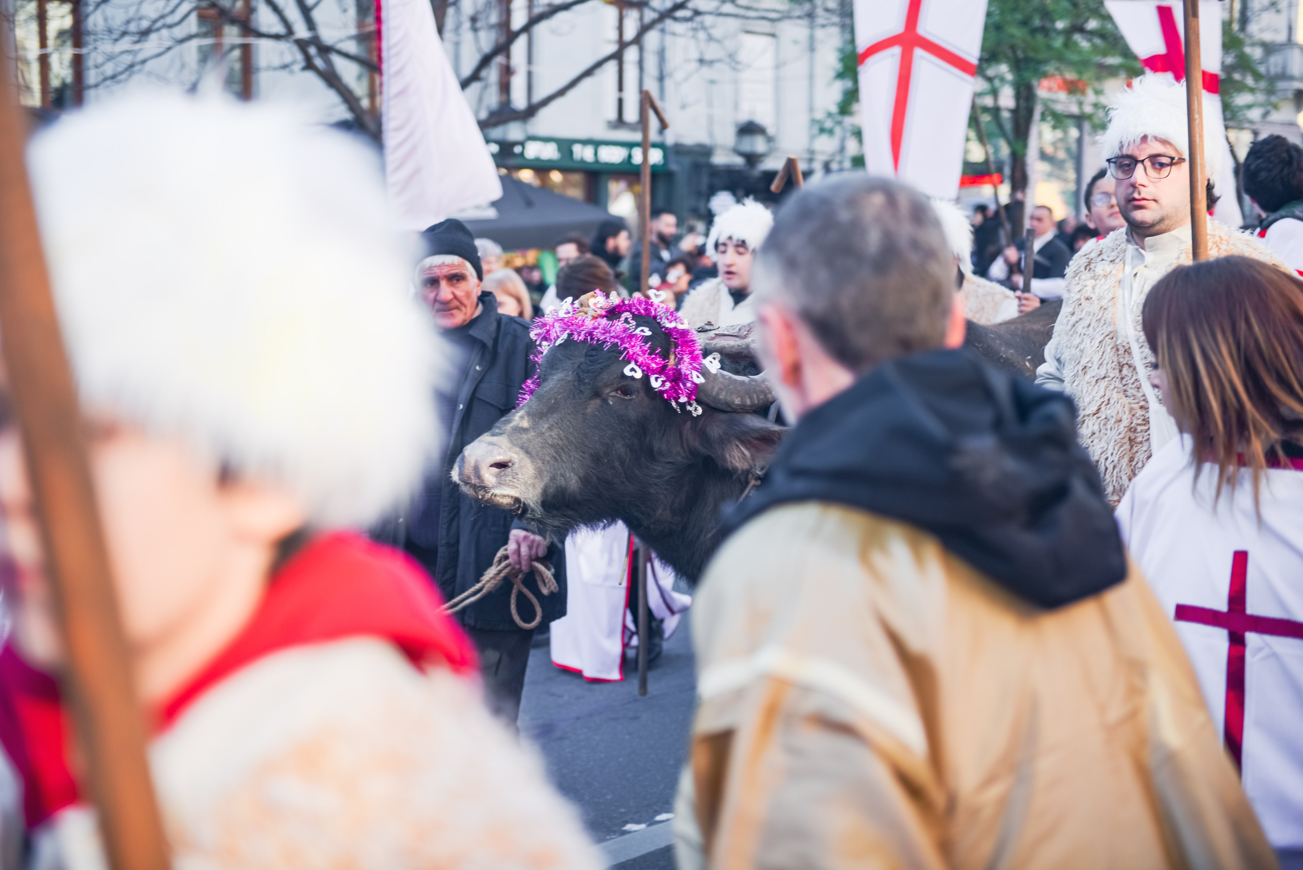 Report photographer Tbilisi. Lika Gomiashvili photography Georgia Tbilisi