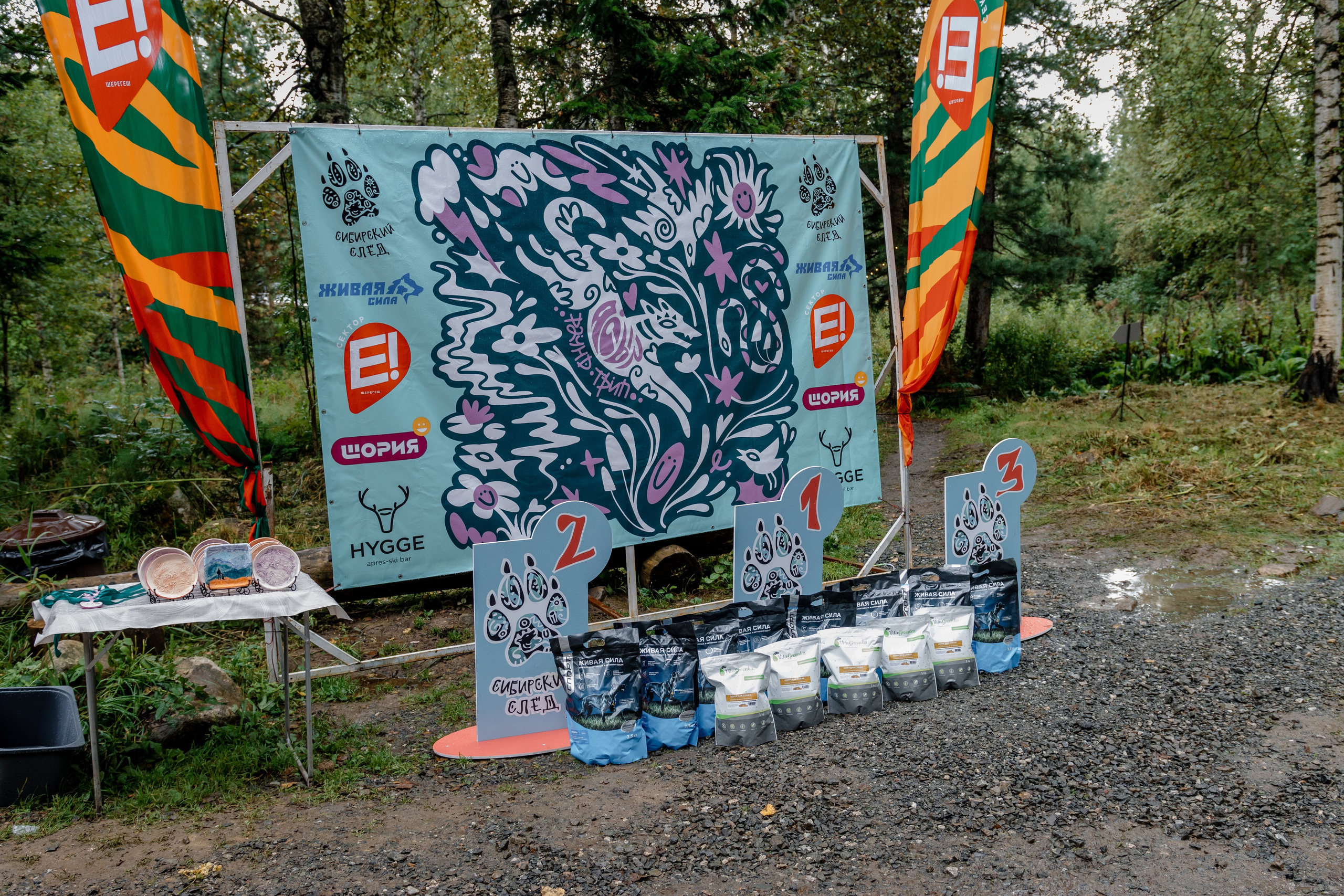 Дог-треккинг