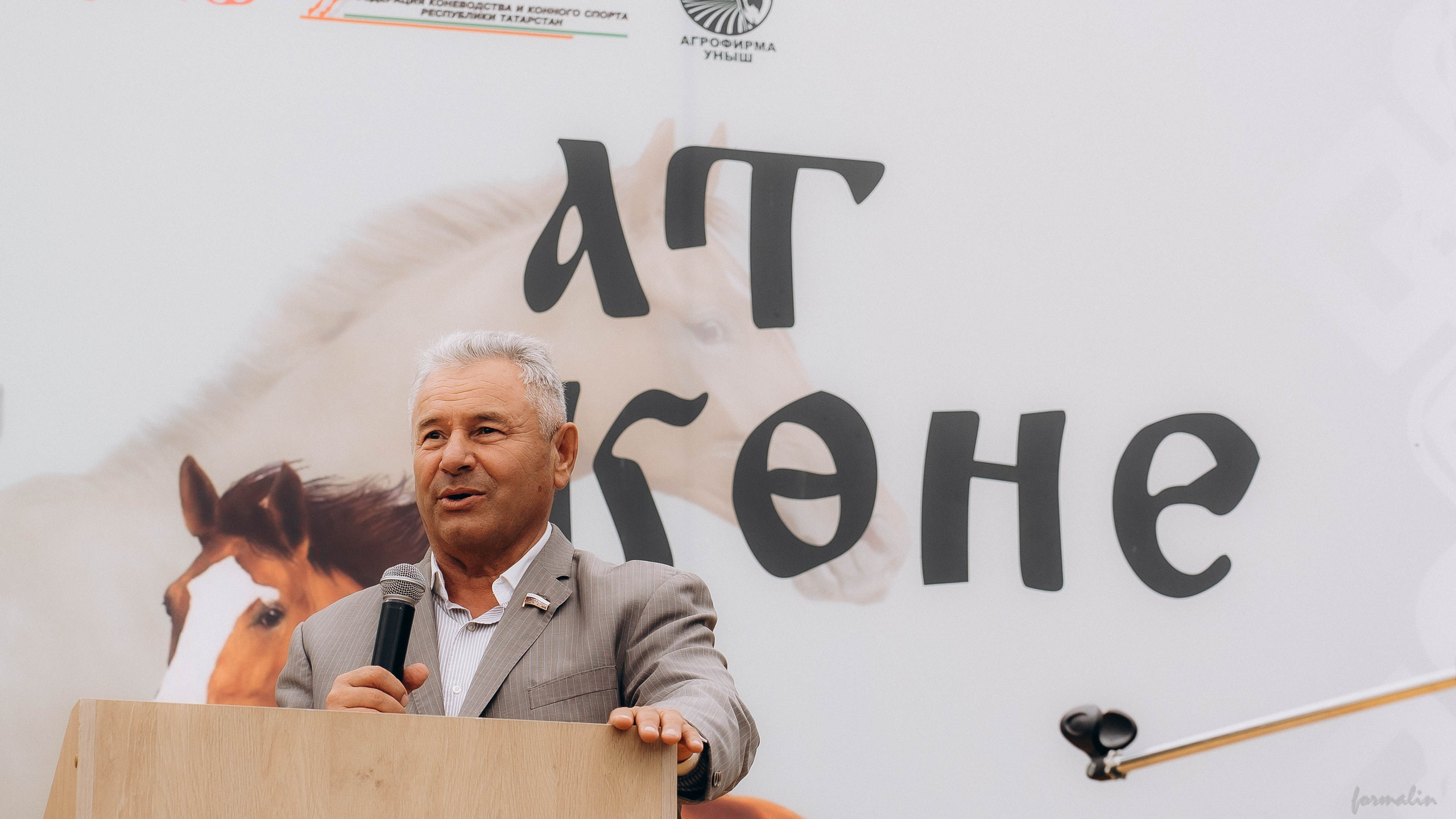 День Коня. Алиса Никитцова | Фотограф в Казани