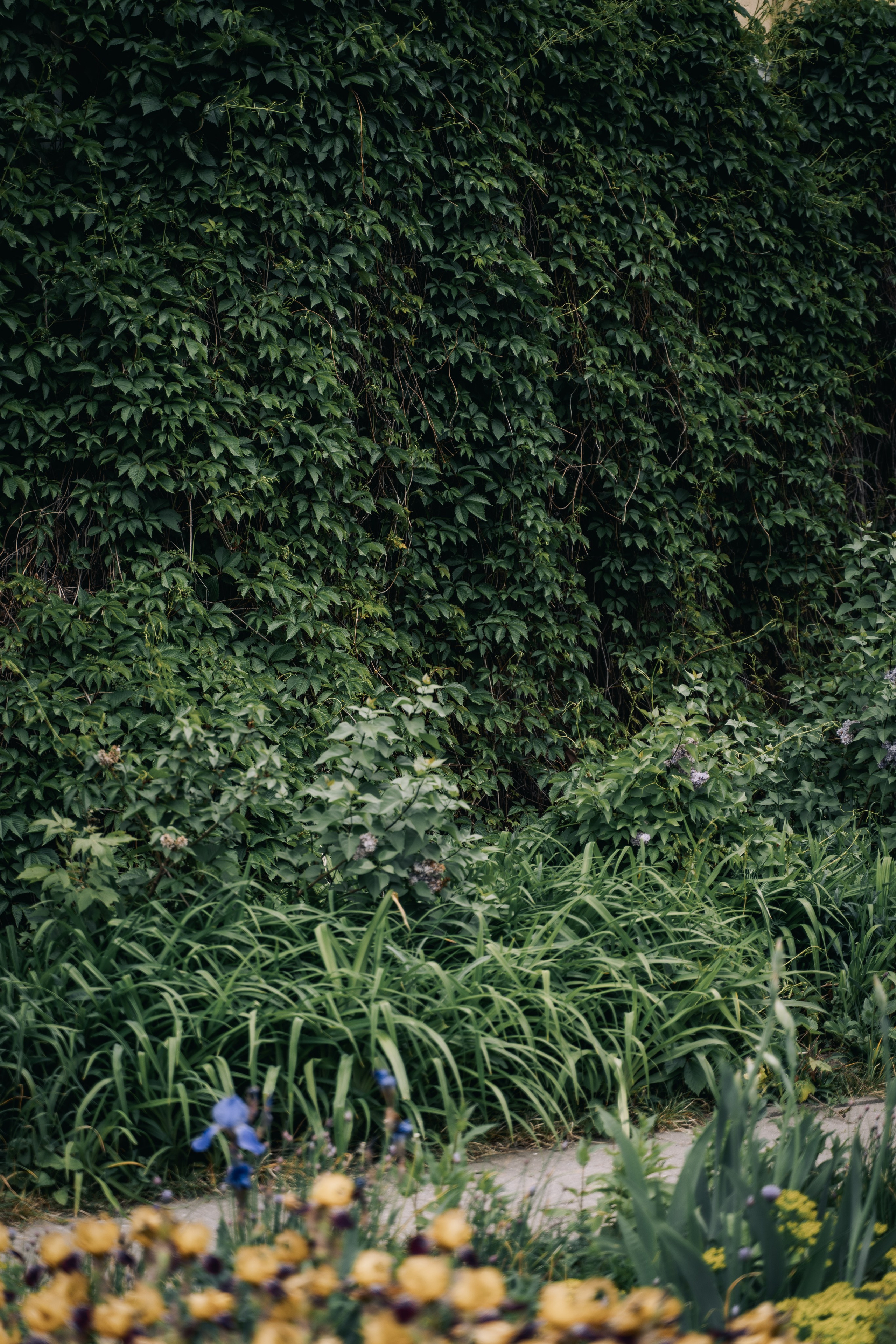 Места для съёмок. Фотограф Александр Решня