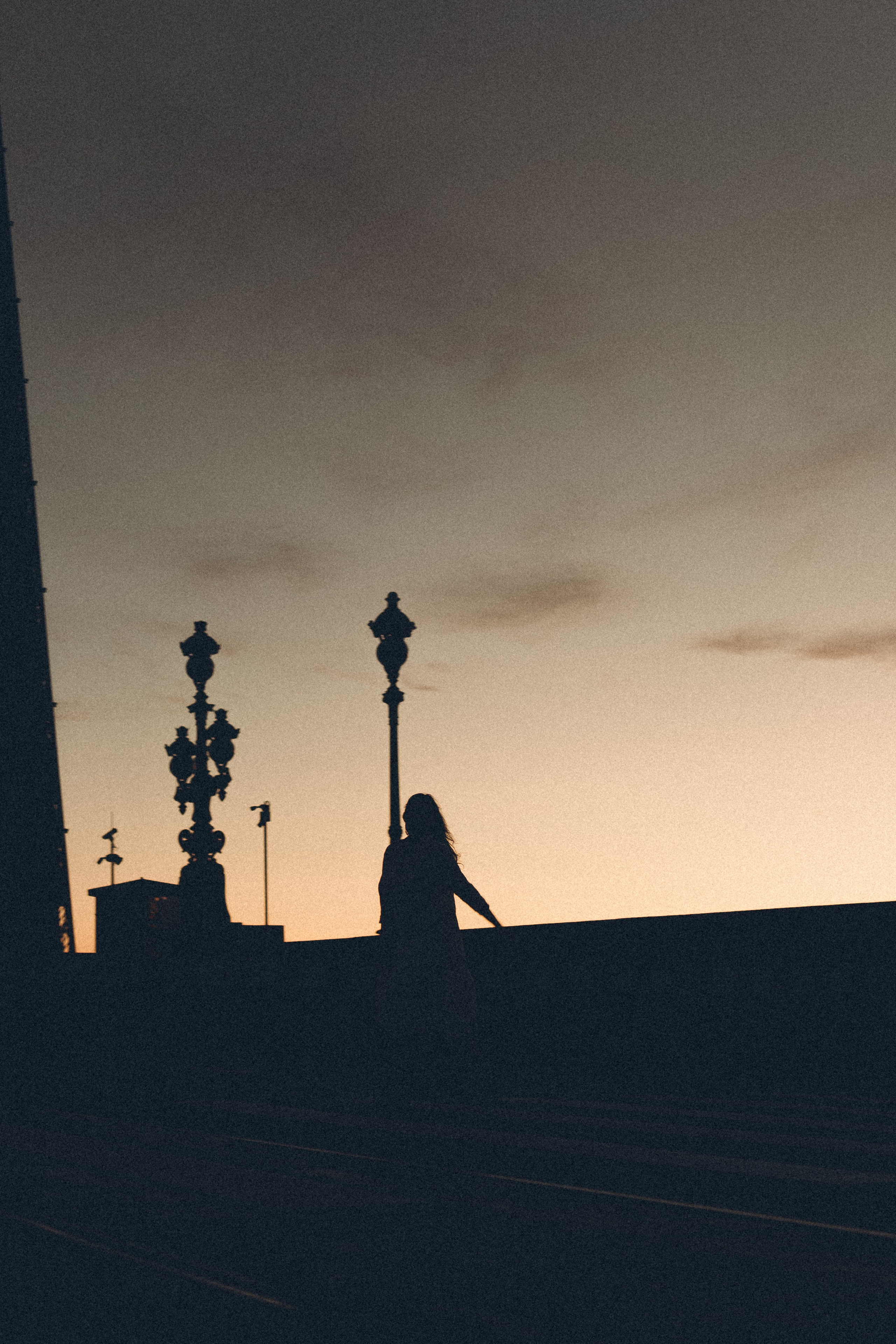 РАССВЕТ С РАЗВОДНЫМИ МОСТАМИ. Профессиональный фотограф, Санкт-Петербург — Виктория Богомолова