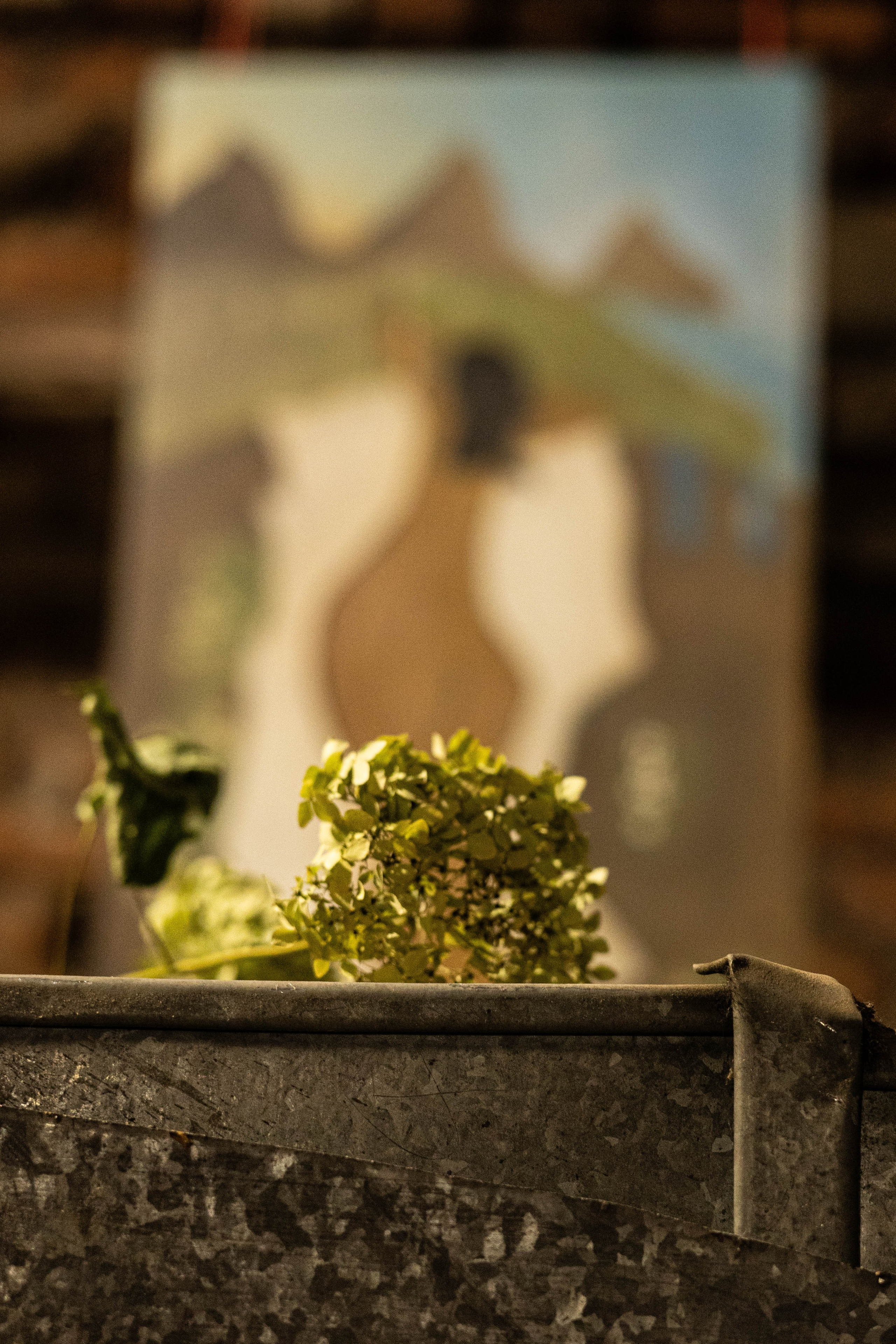 Выставка «Цветочек». Фотограф Шурыгина Эльвира Москва