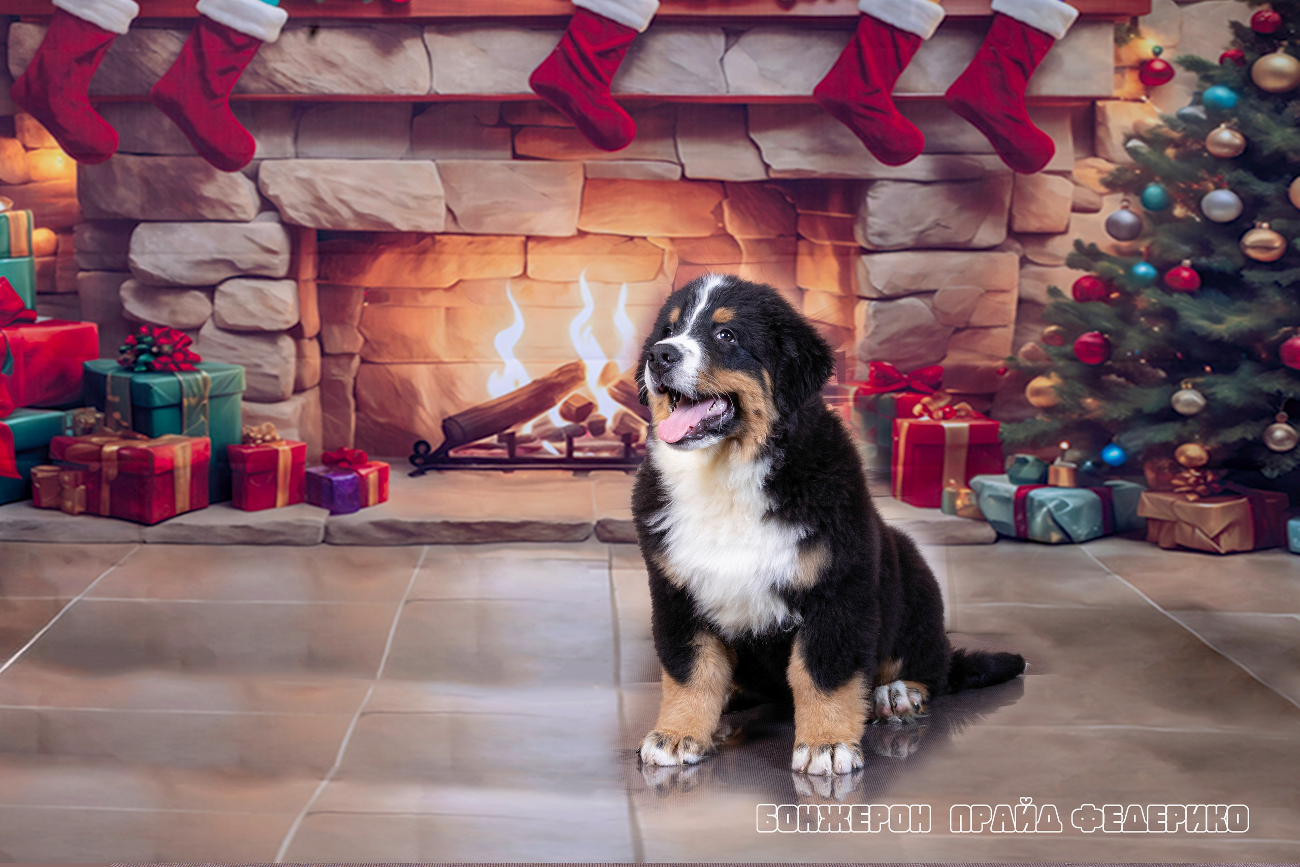 Бонжерон прайд. Фотограф 📸 семейный, предметный, репортажный