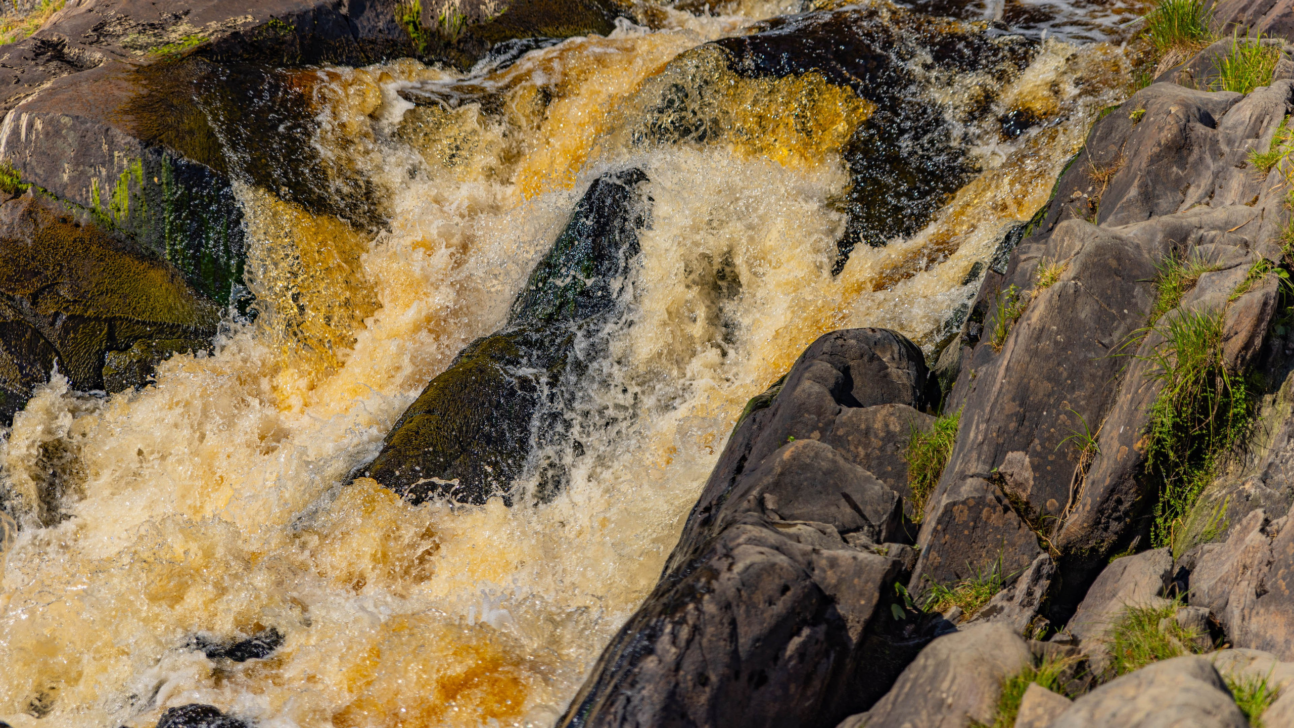 2025 07 Выборг — Сортавала — Великий Новгород — Псков. Фотографии