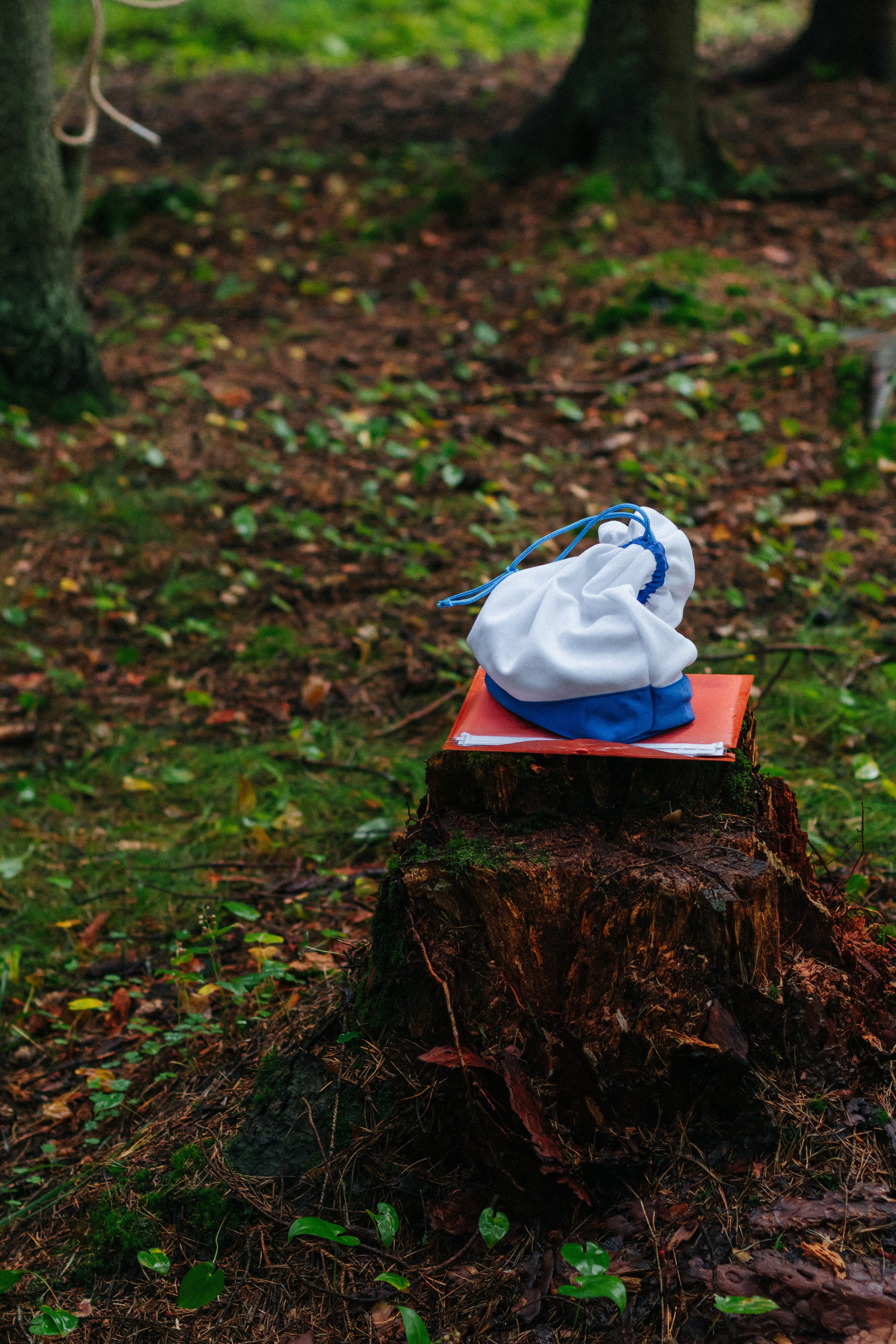 Детские мероприятия (квесты, лагеря, вечеринки). Коммерческий фотограф в Санкт-Петербурге (СПб) Екатерина Панчёха, Панчёшка