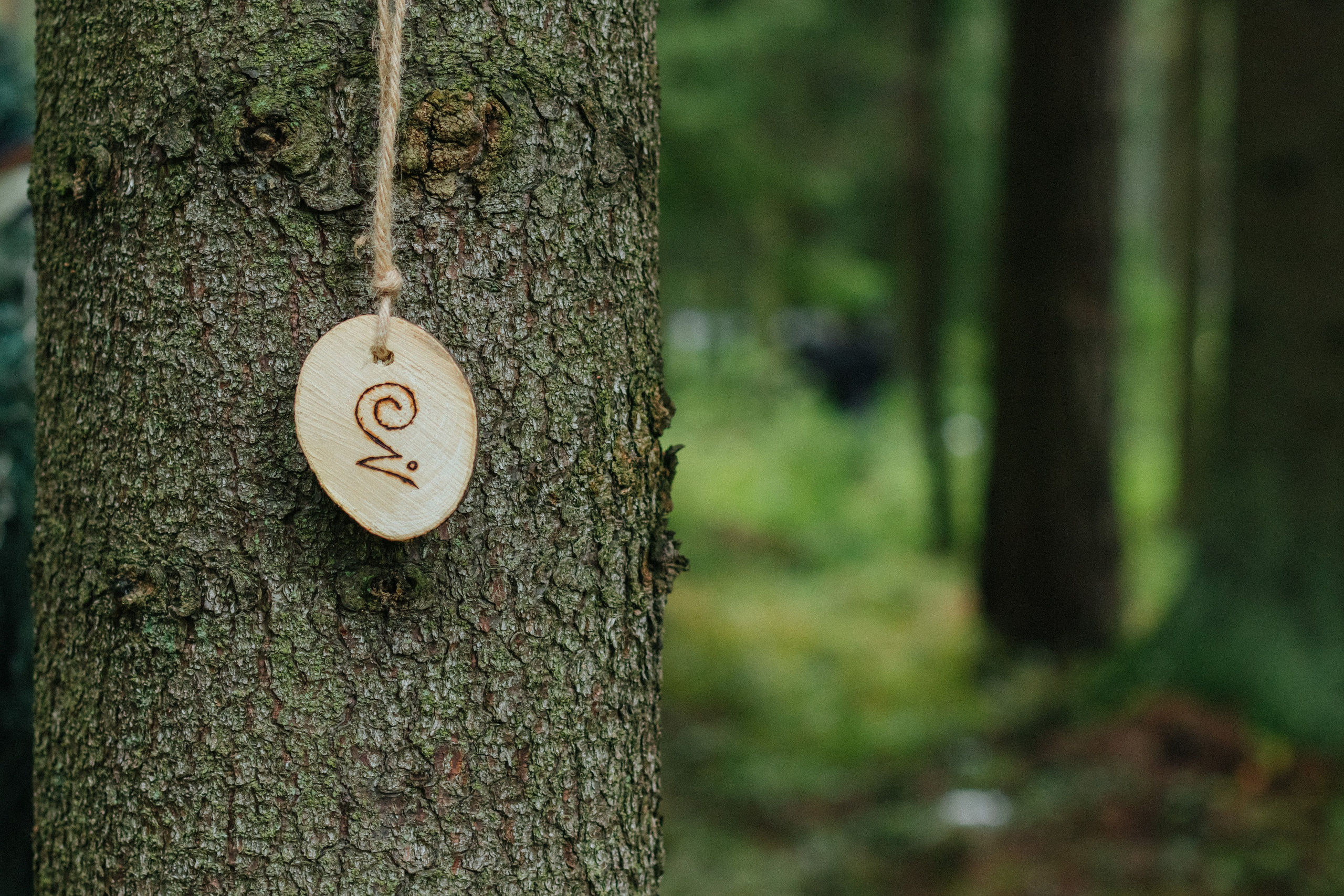 Детские мероприятия (квесты, лагеря, вечеринки). Коммерческий фотограф в Санкт-Петербурге (СПб) Екатерина Панчёха, Панчёшка