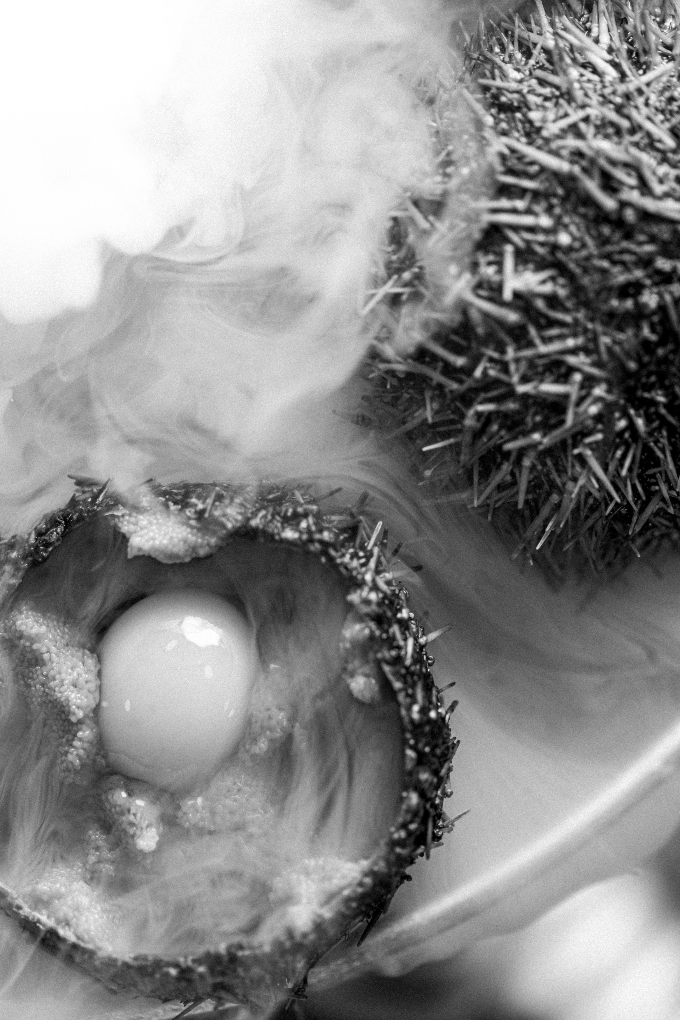 РЕСТОРАНЫ. Контент фотограф в Москве Ник Фрост